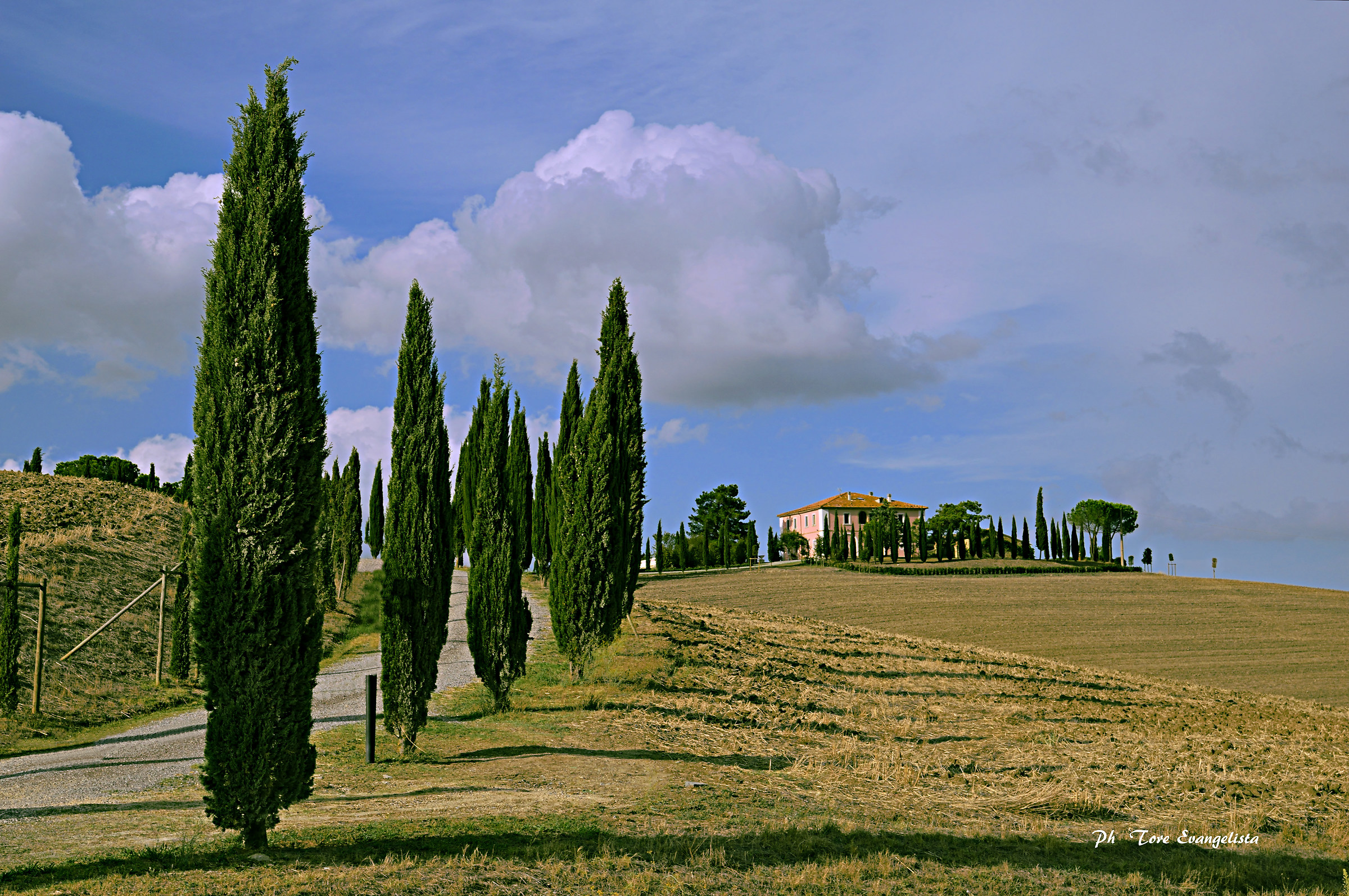 Cypresses in the foreground....