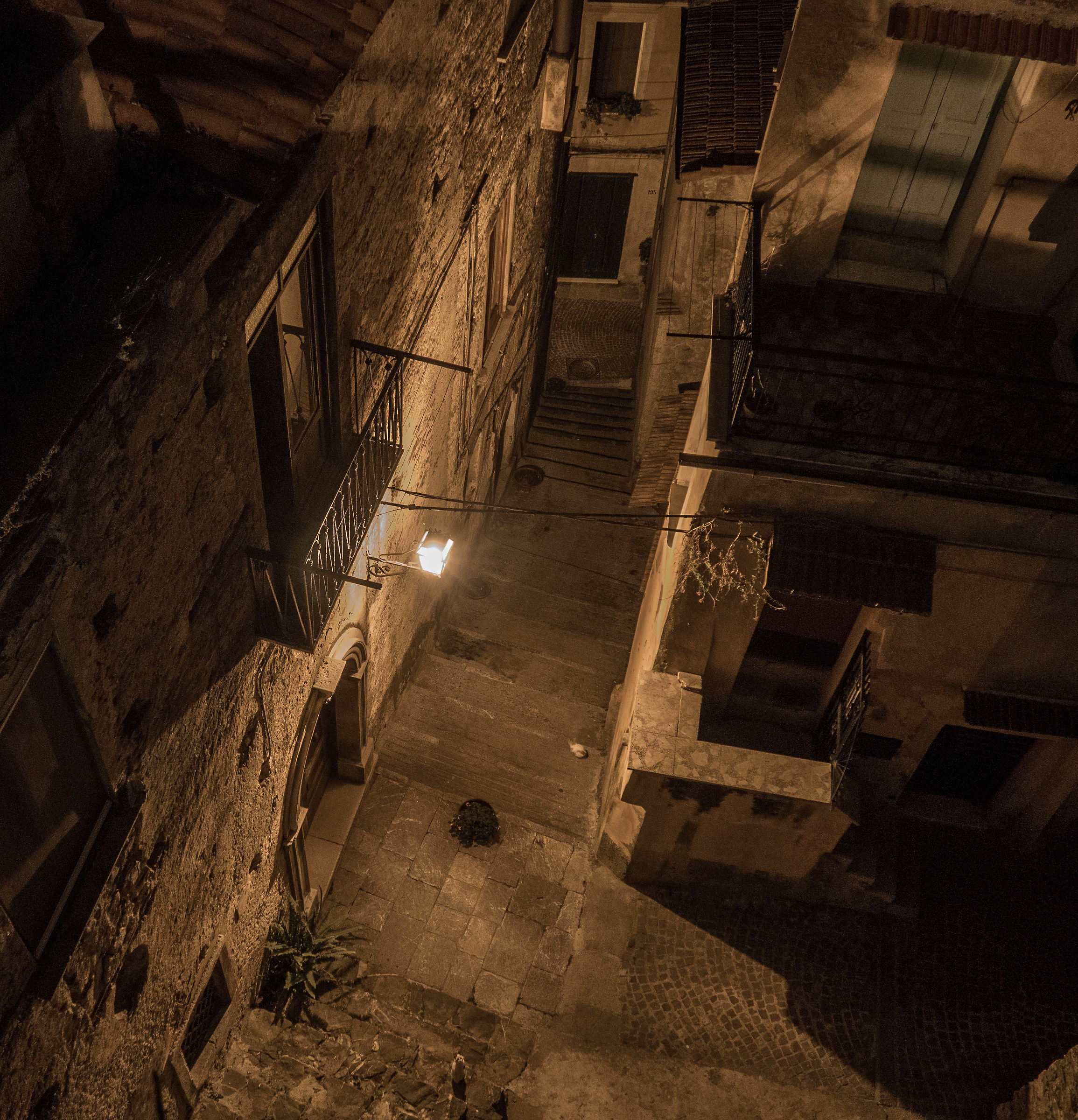 In the alleys of Vibonati...