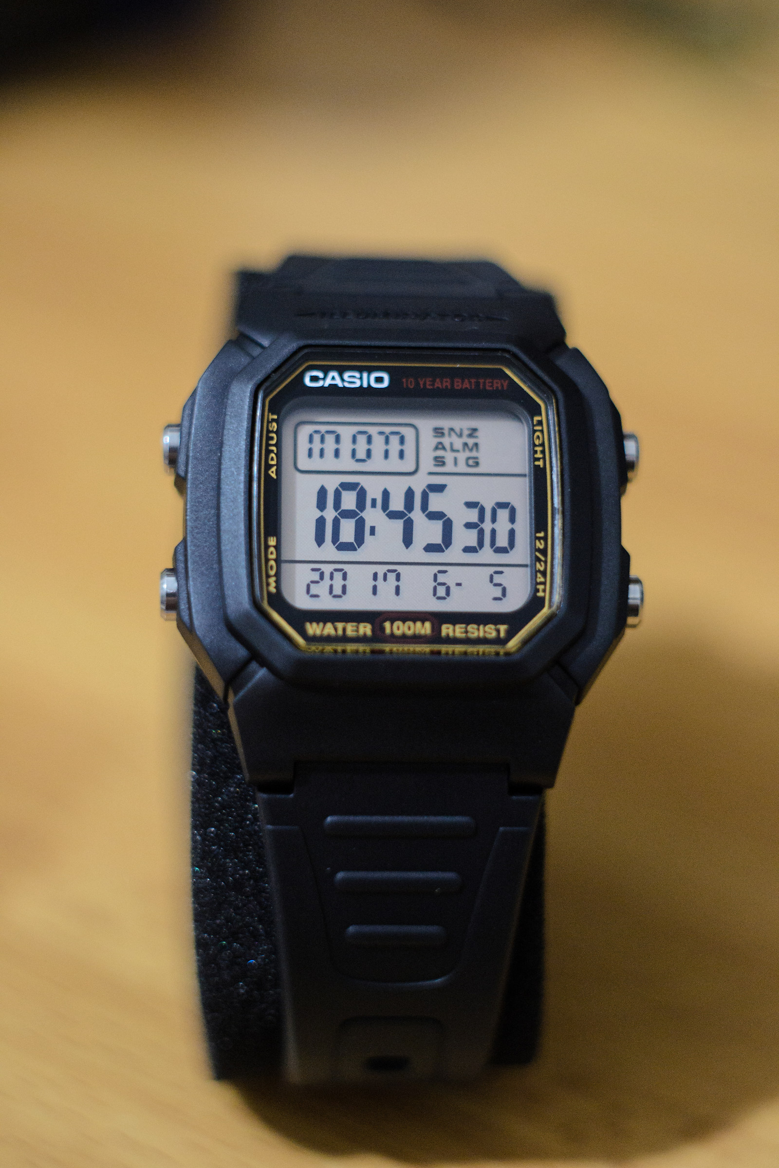 Love Casio!...