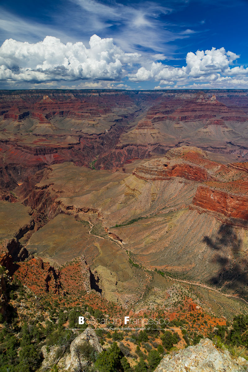 Vertical Grand Canyon...