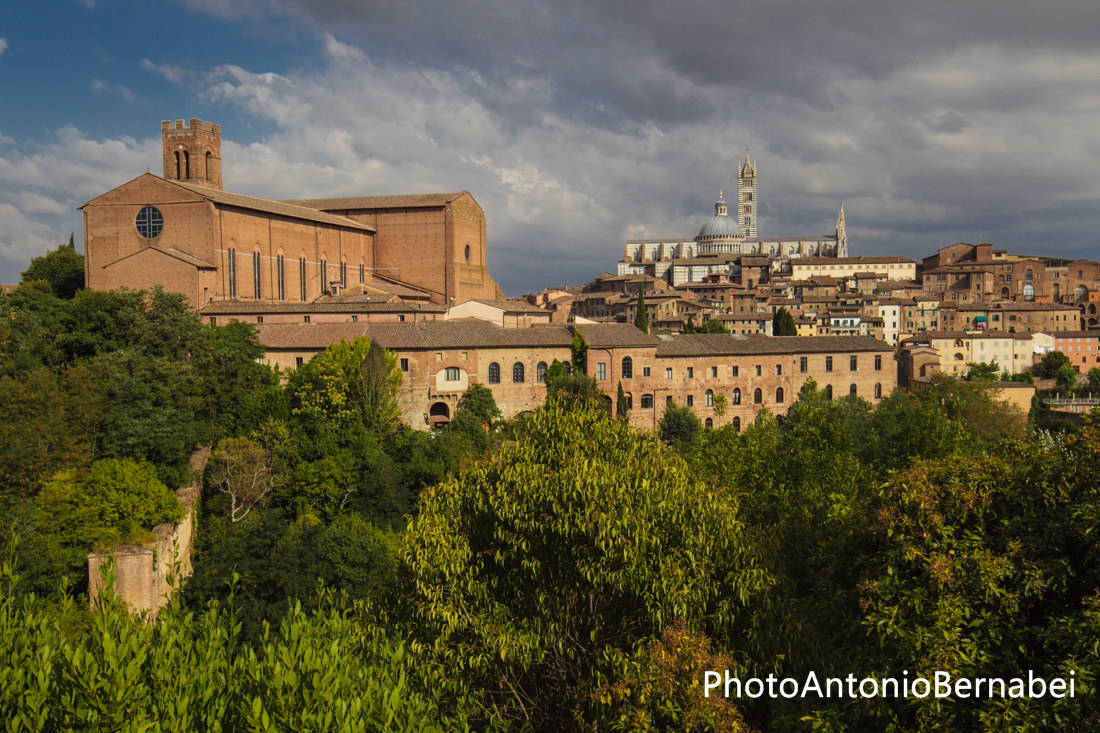 Siena...