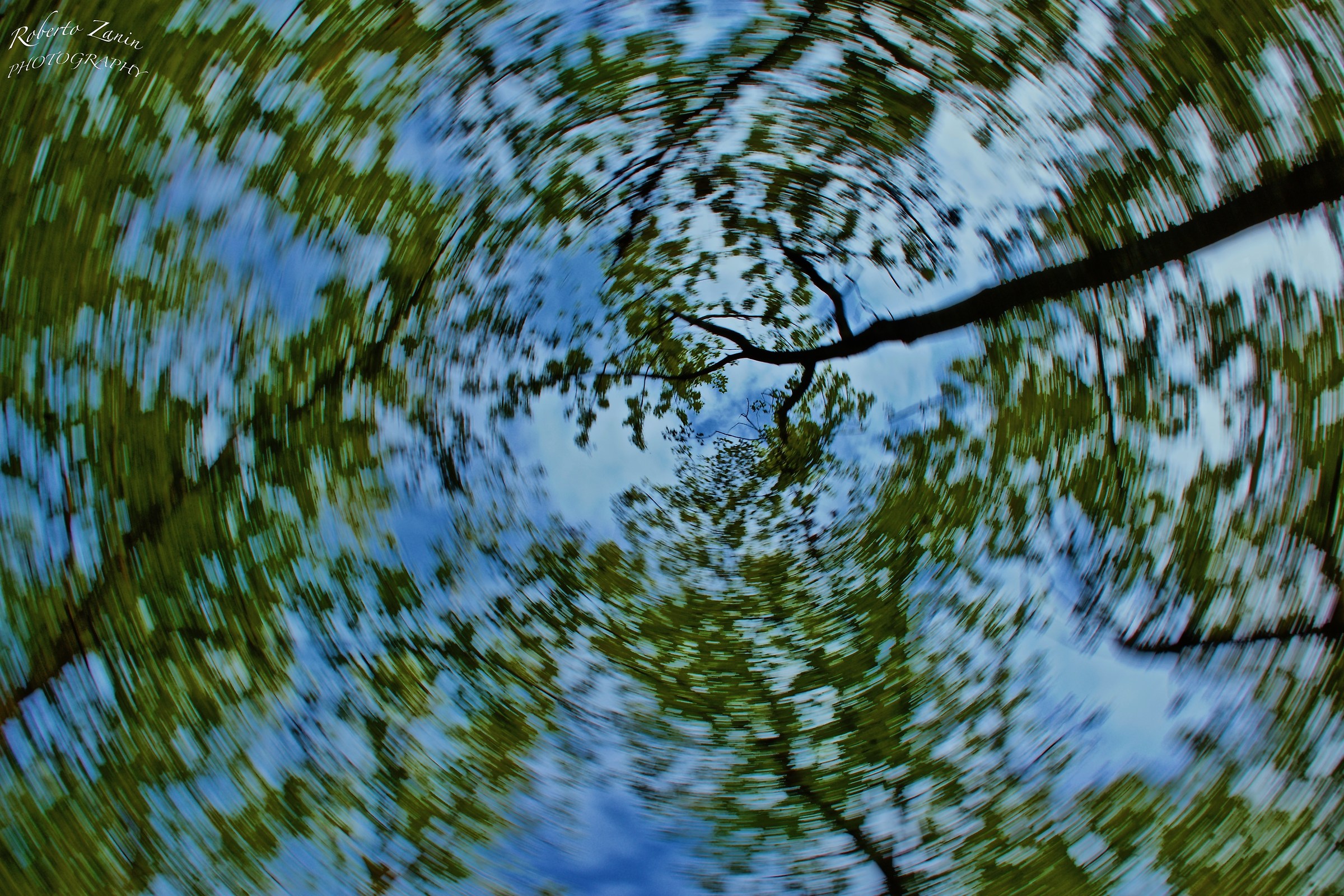 Spinning under the trees...