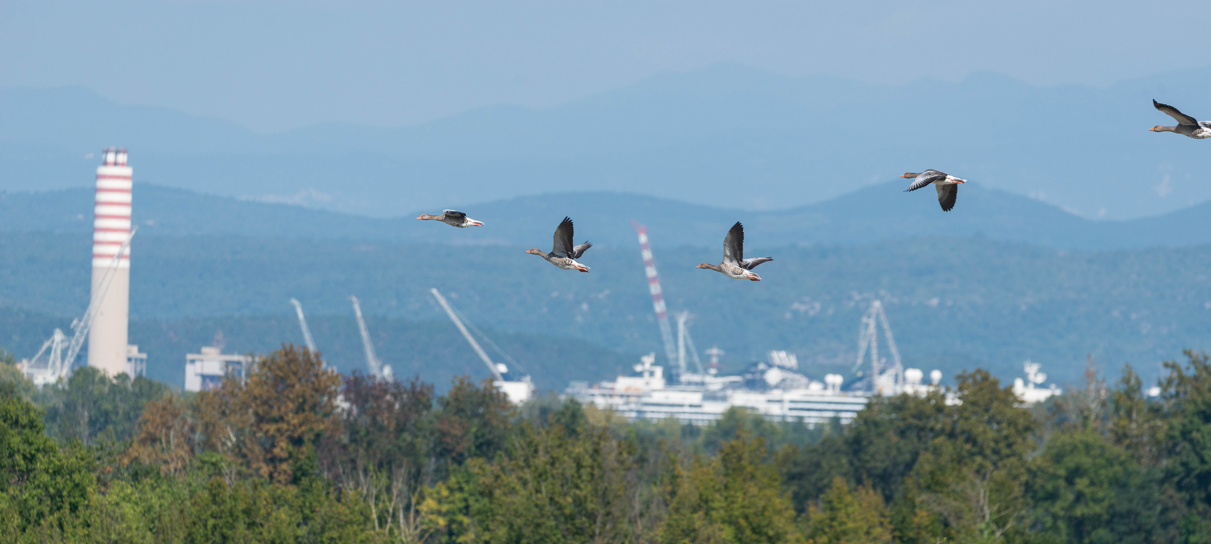 In flight on the shipyards...