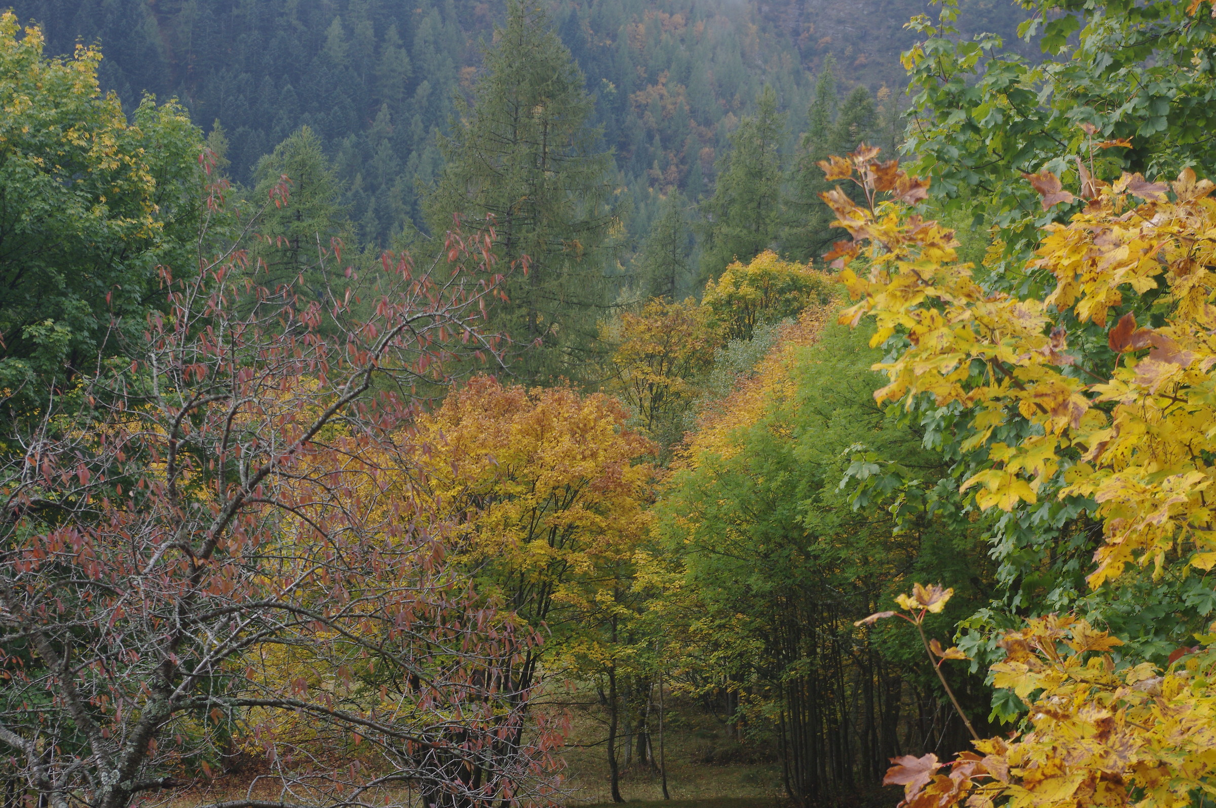 Autunno...