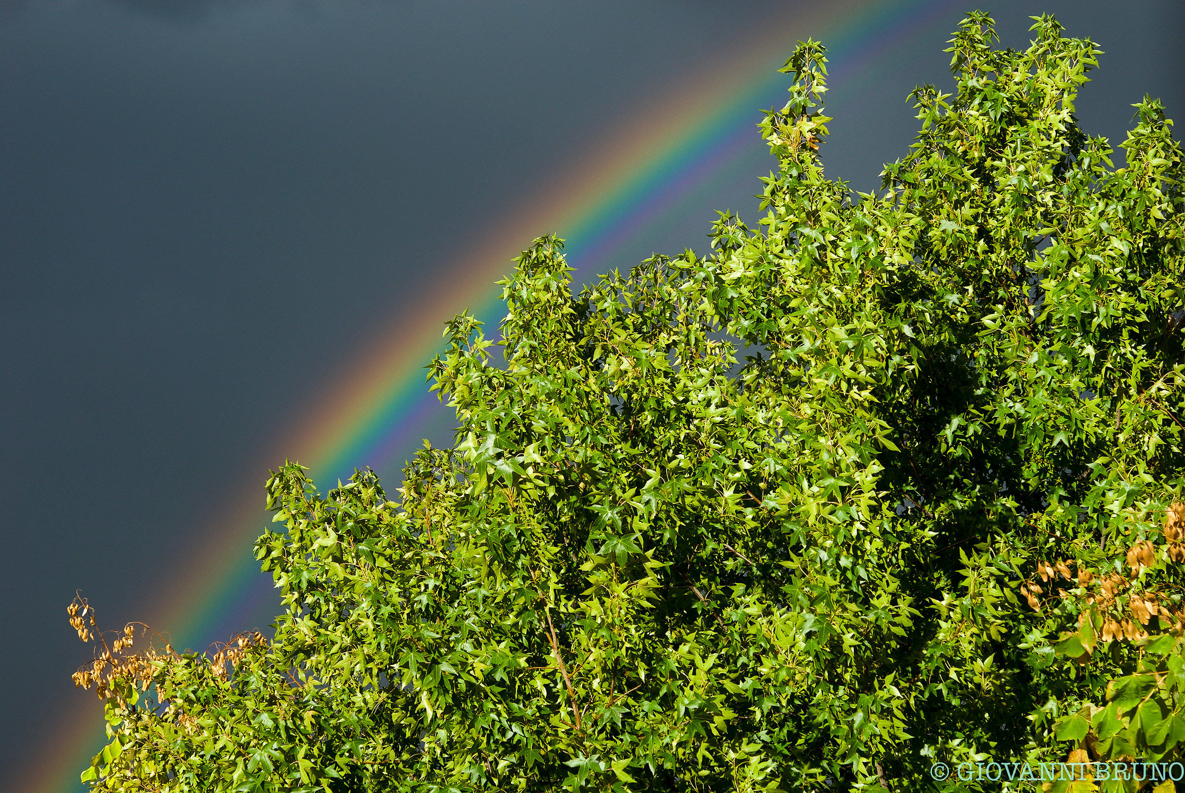 Rainbow seen from work .....
