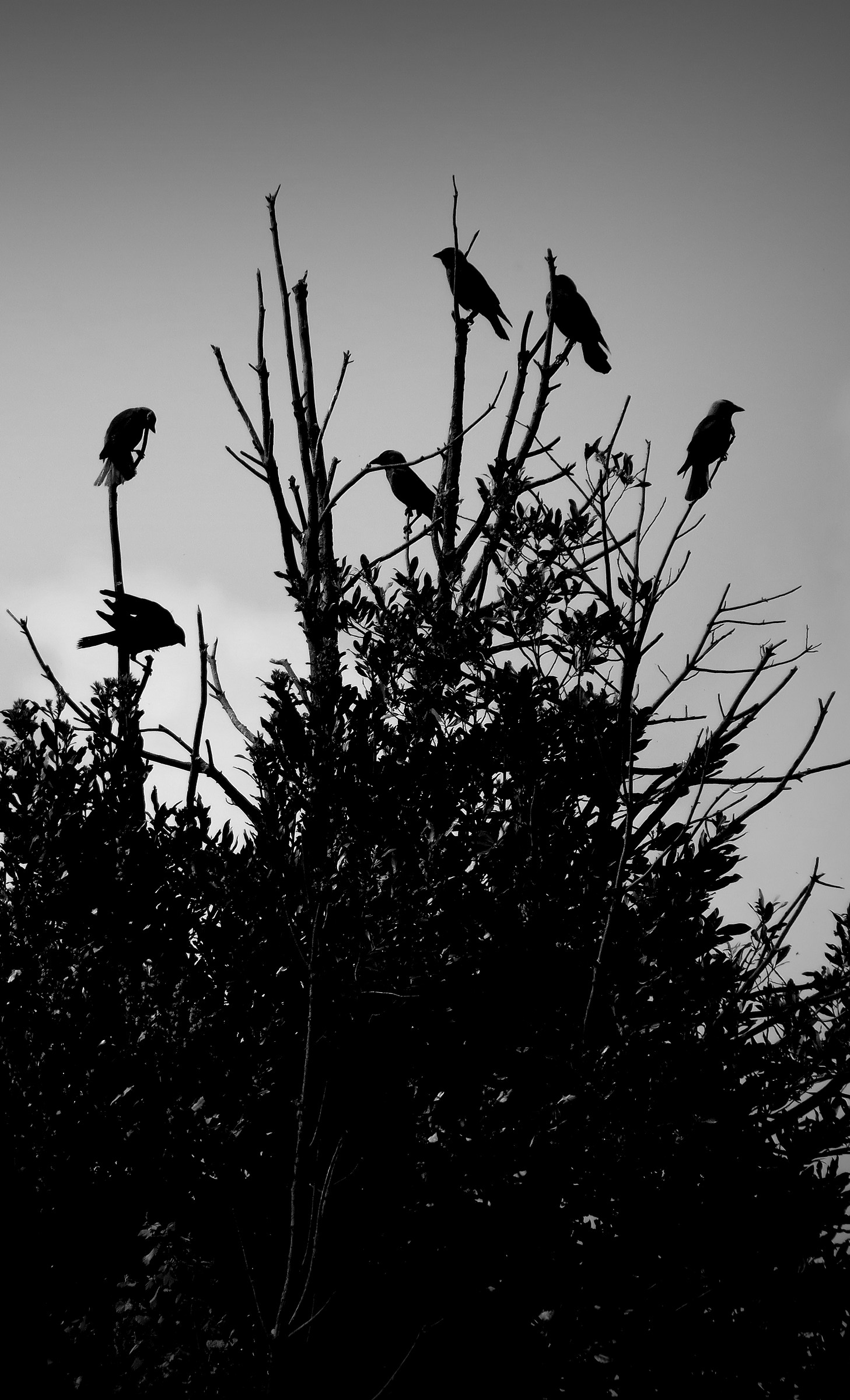 Untitled Photo...