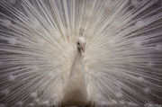 [Photo]