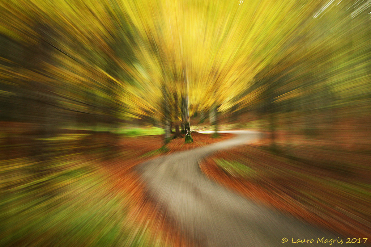 Autumn perspective (zooming)...