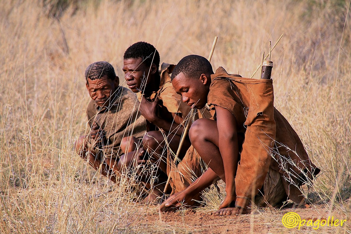 Bushmen ready for hunting...