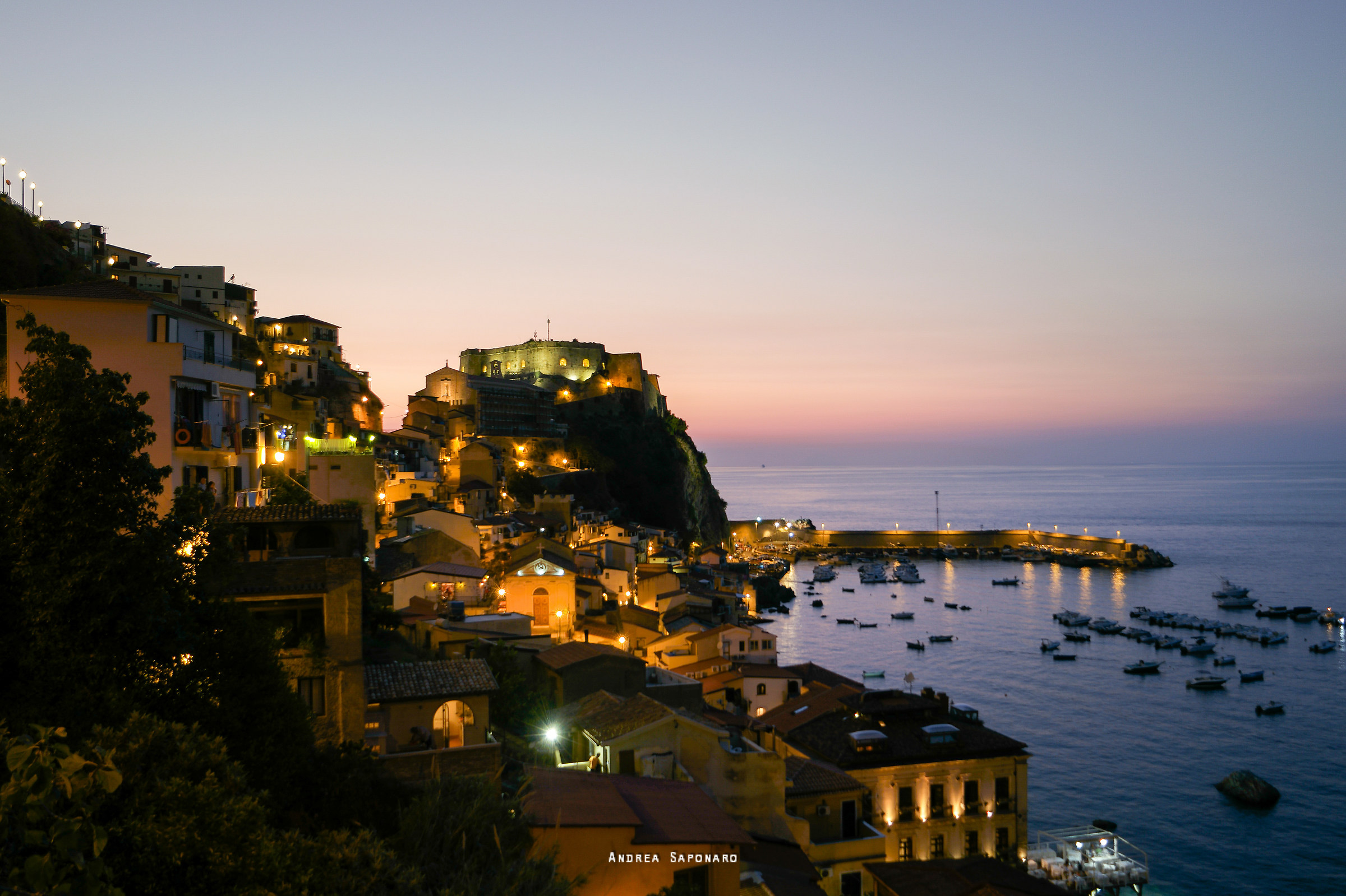 Scilla in the evening...