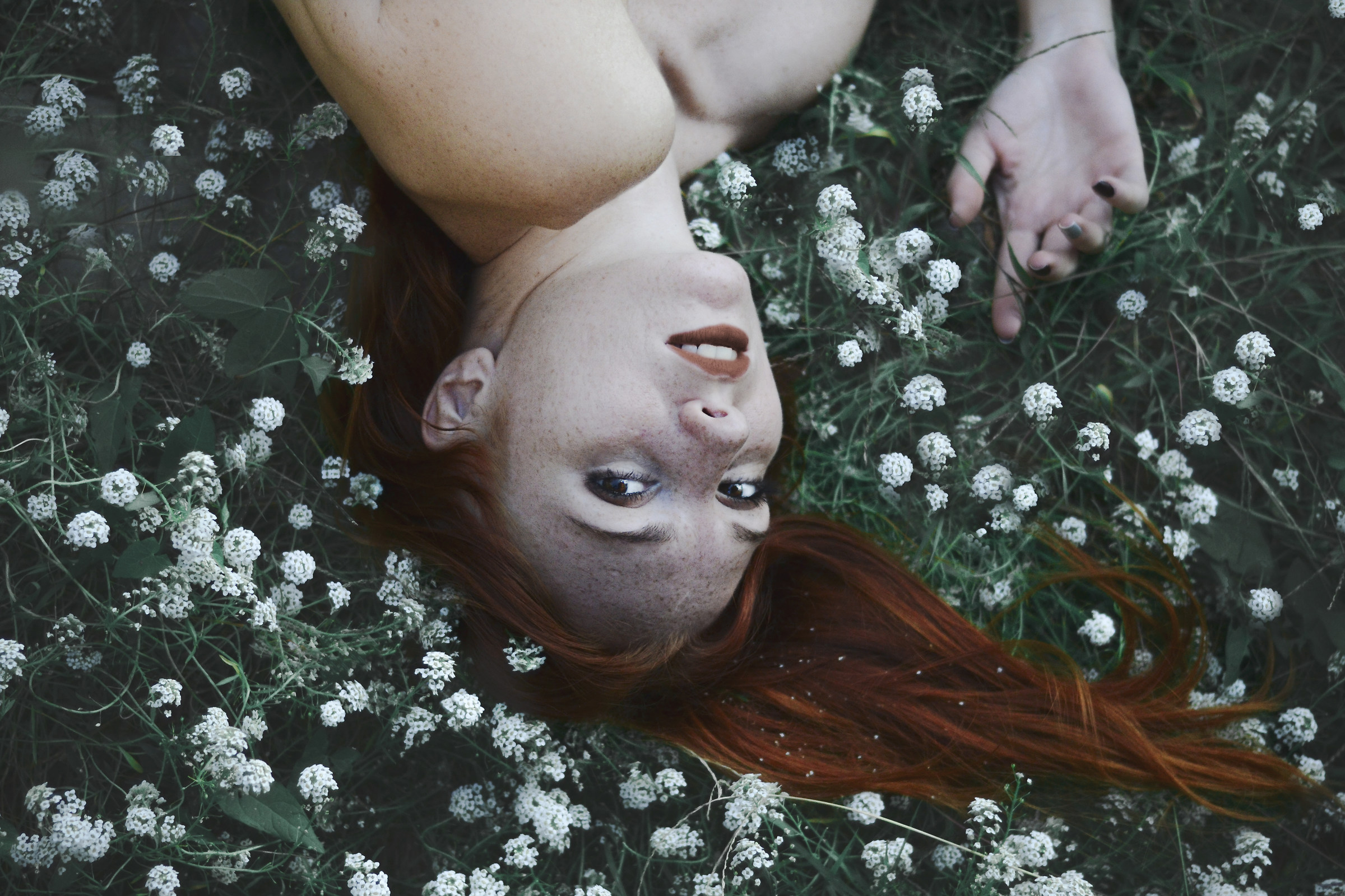 In a dream...