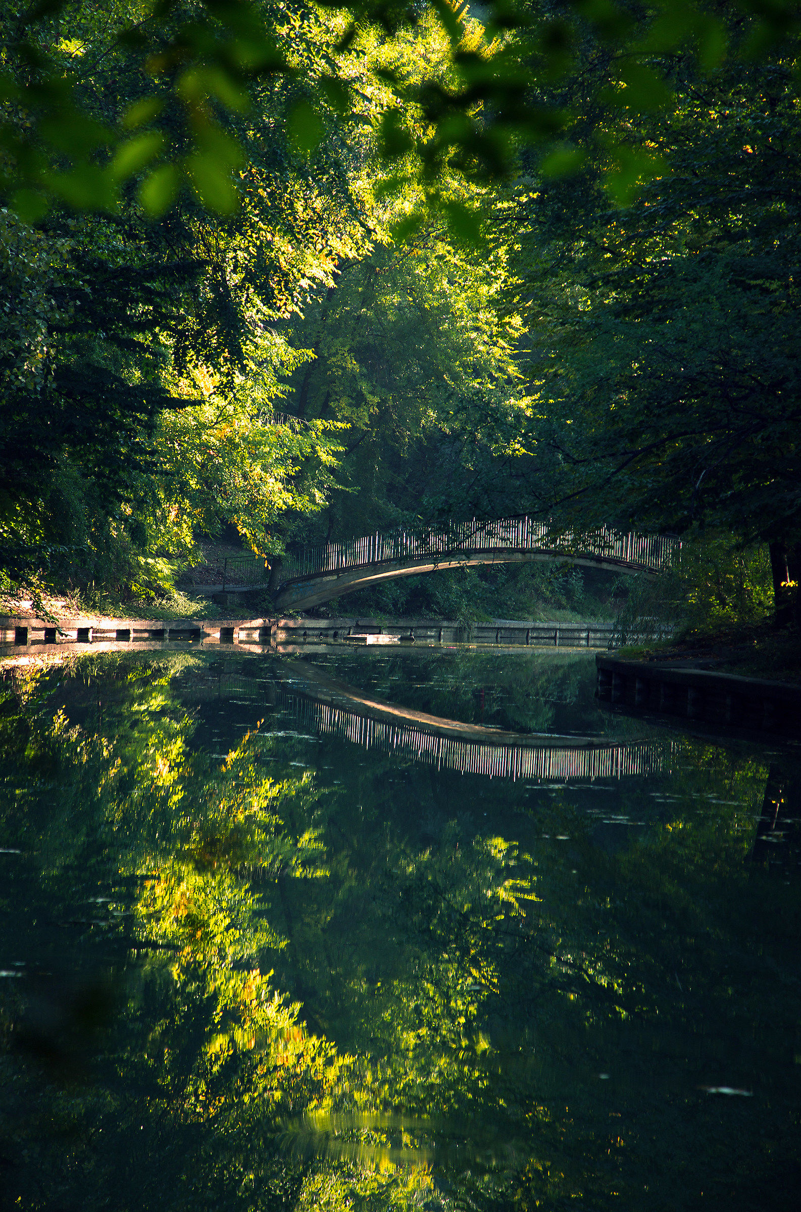 Nature...
