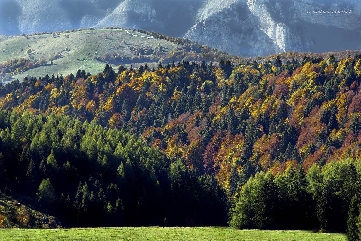 the Autumn on Lessini Mountains...