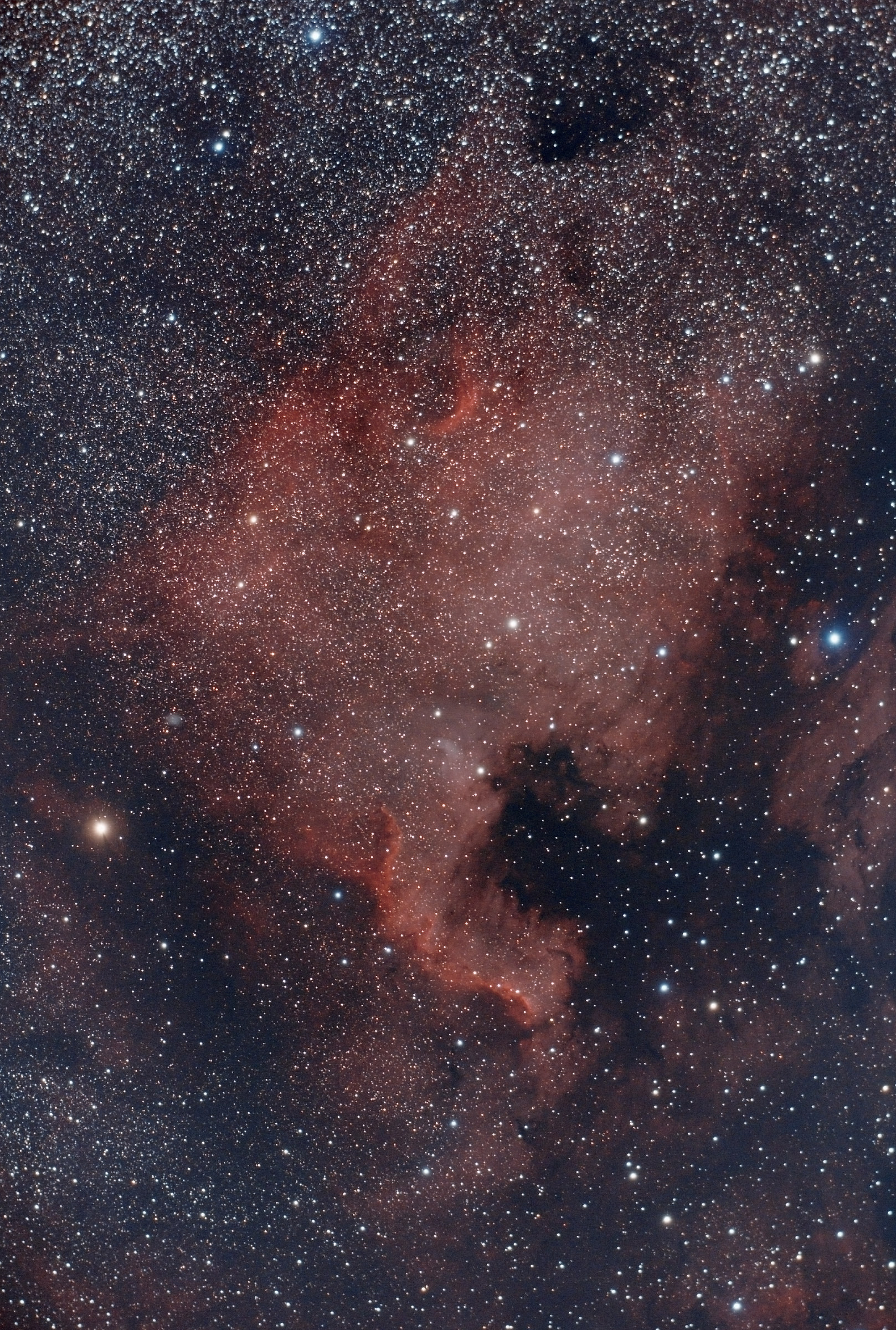 Ngc 7000 Nebulosa Nord America (Cost.Cygnus)...