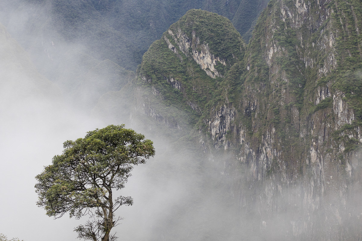 view from Machu Pichu...