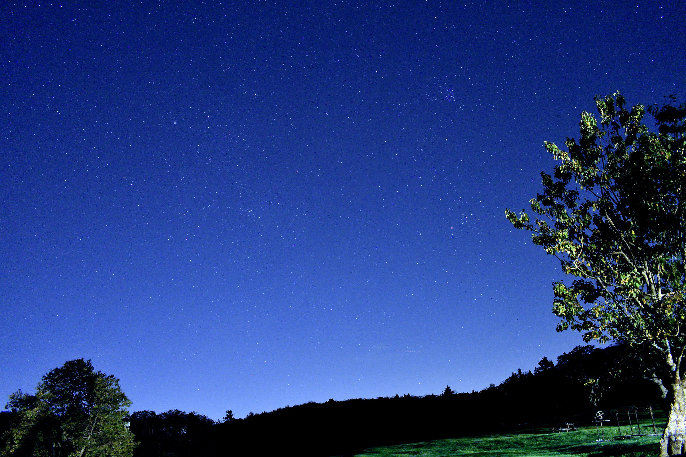 Primo tentativo cielo stellato con pp...