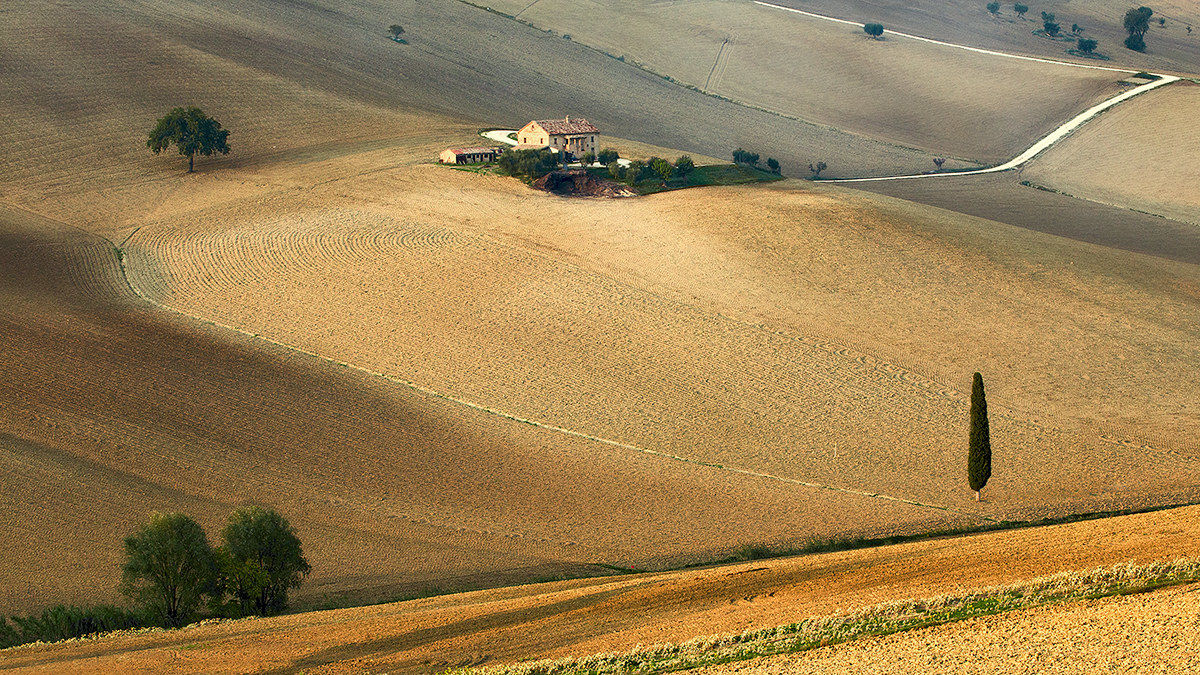 Rural landscape...