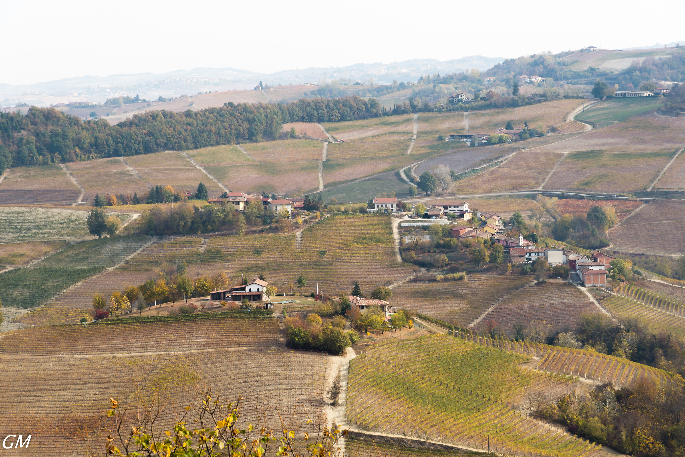 Langhe - Panorama on the vineyards...