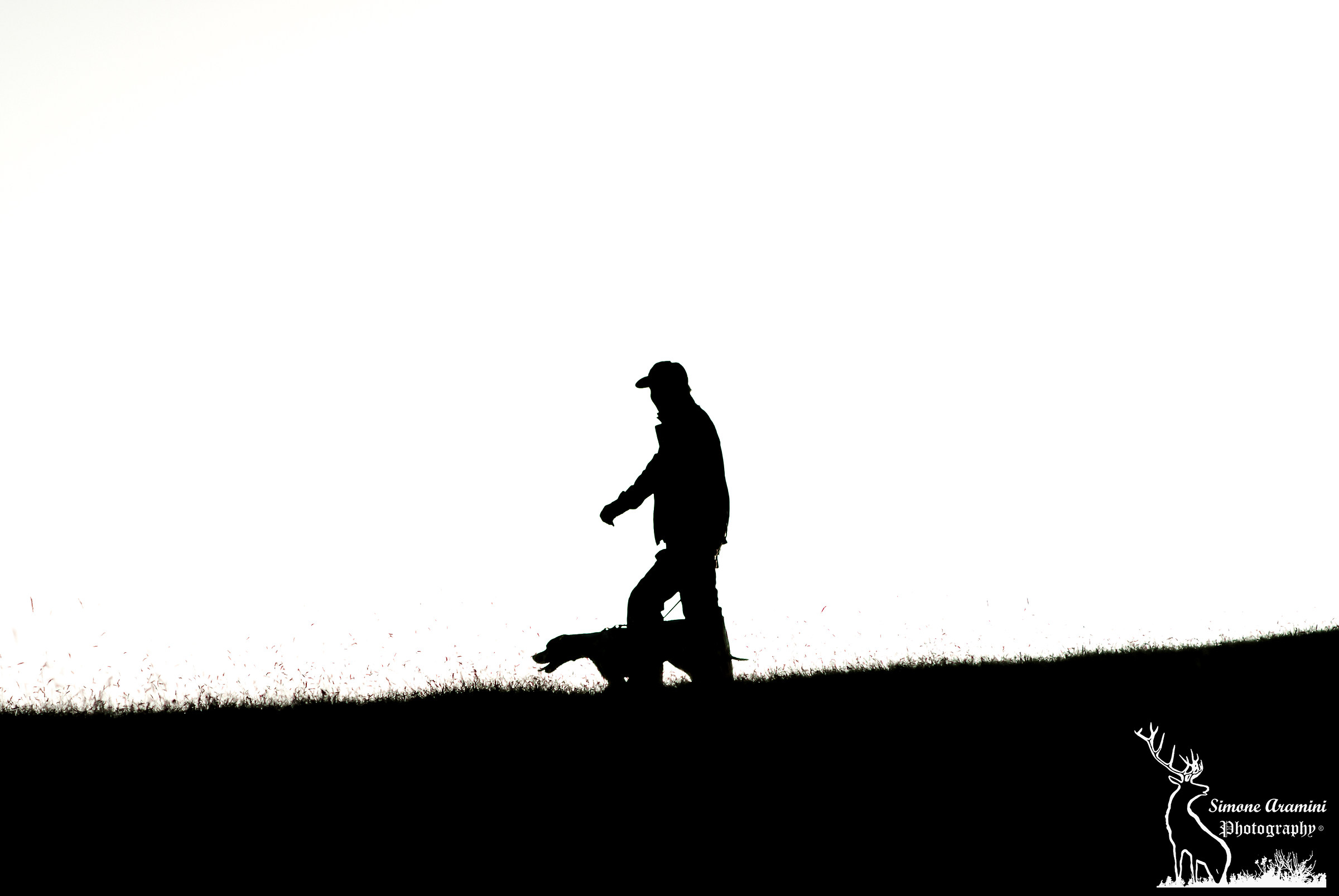 Pointer ways...