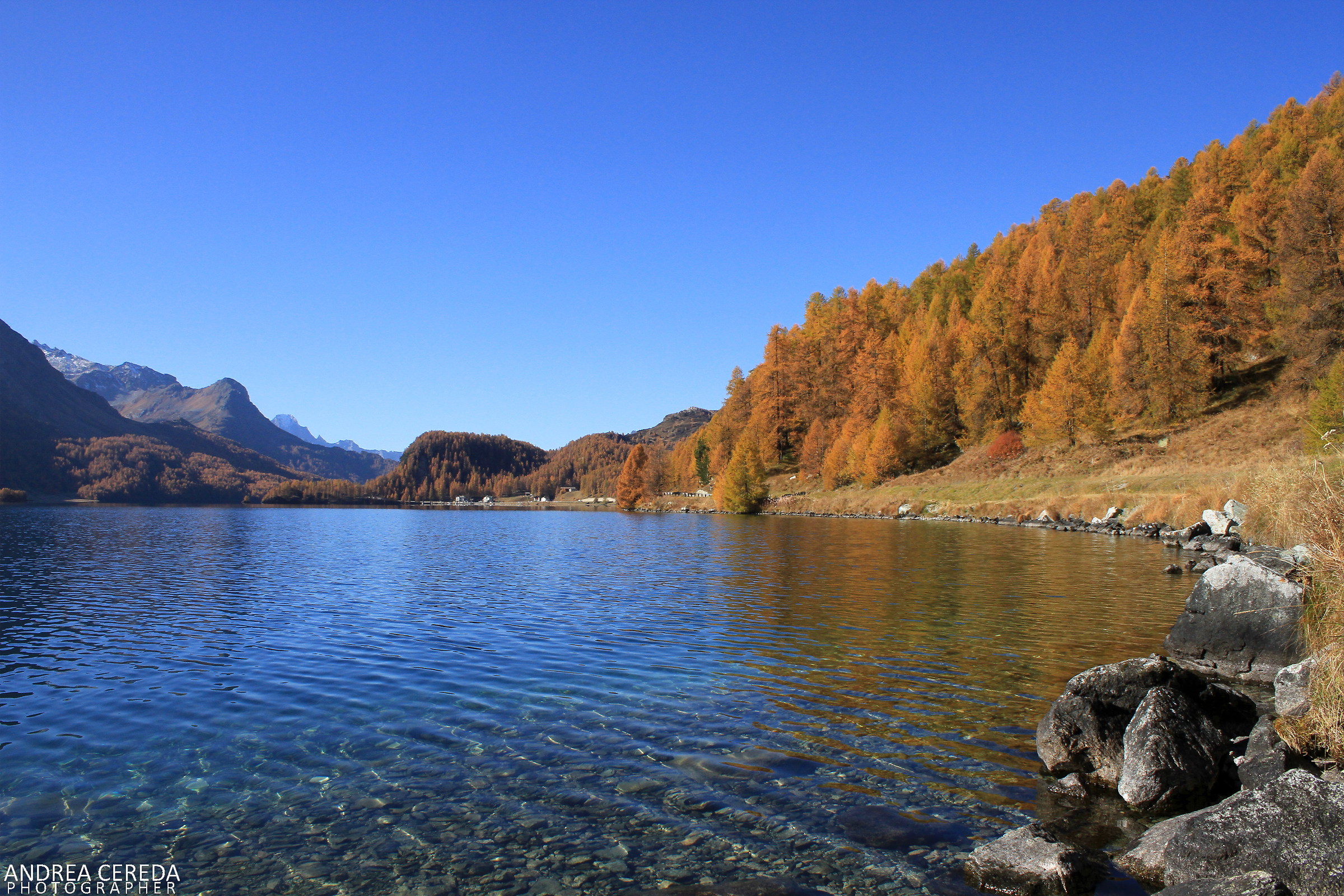 Autumn in the Engadine - Sils Lake...