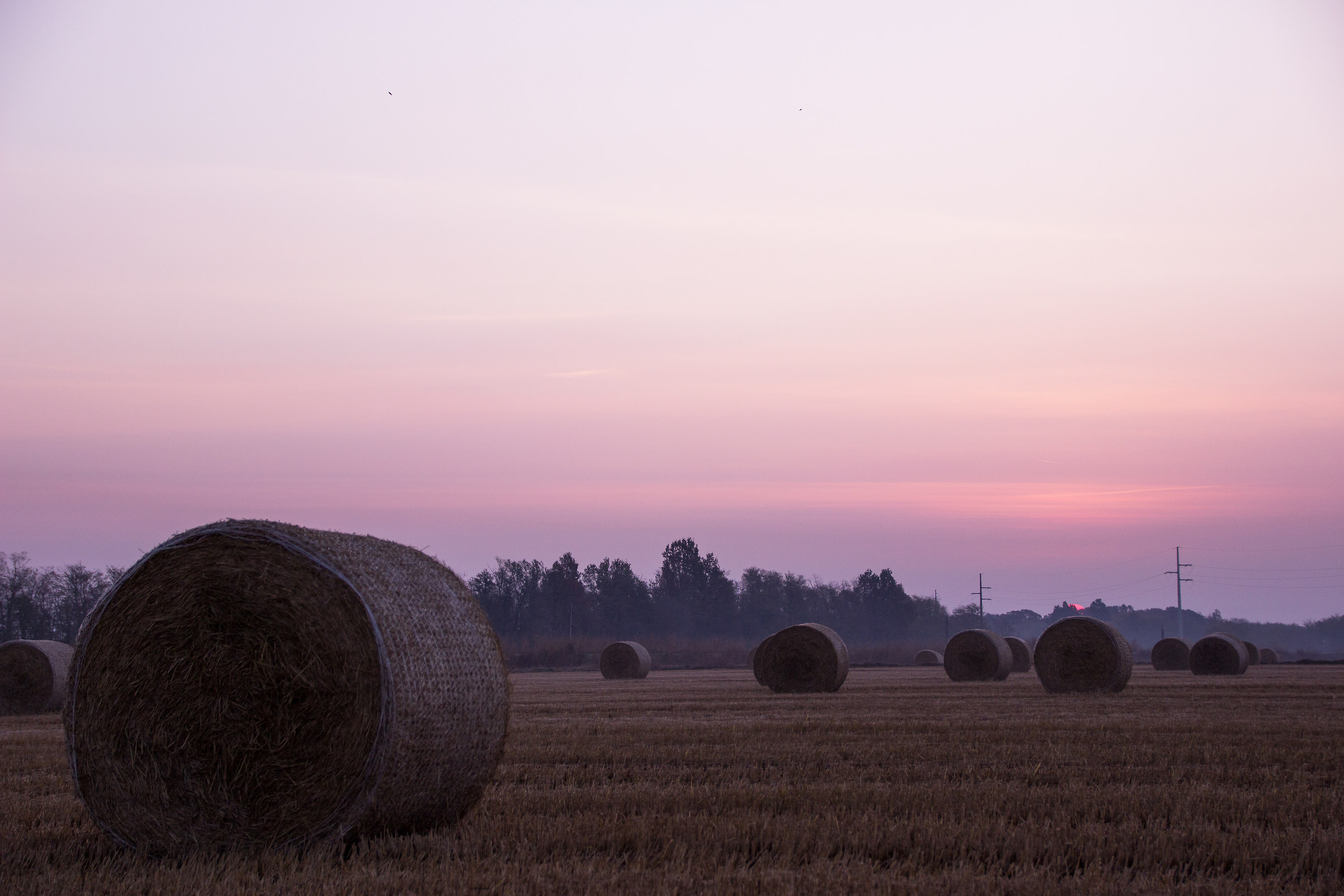 Sunrise at the camp...