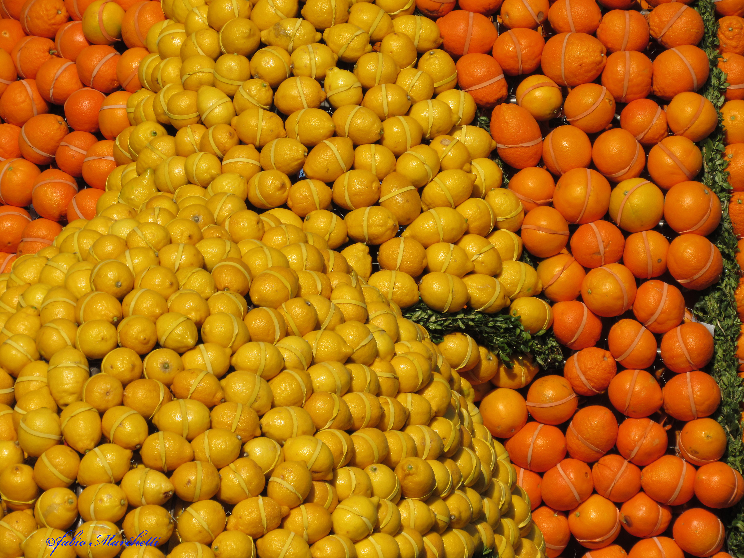 Citrus fruits trapped...