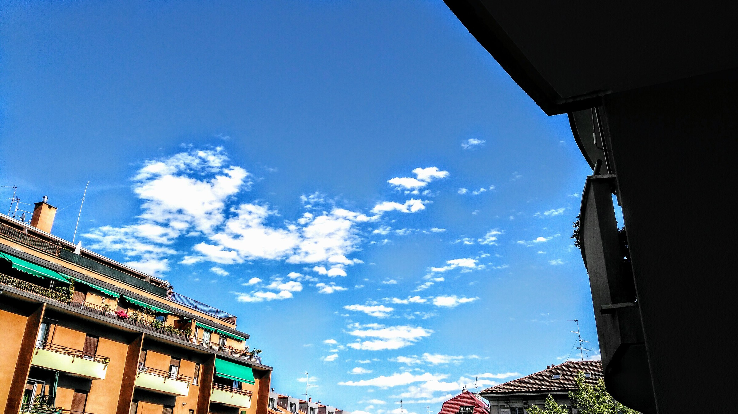 Untitled Photo...