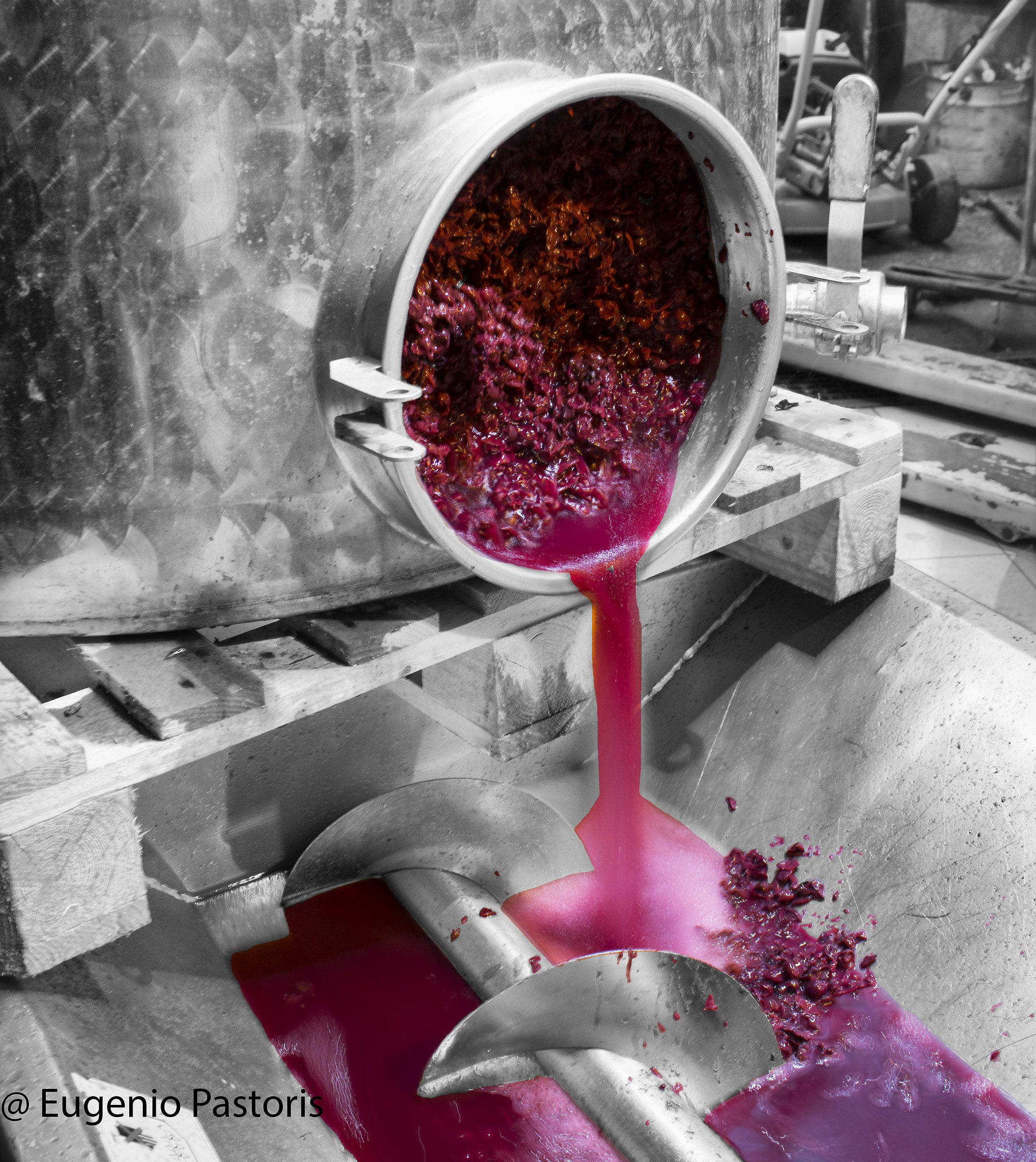 Bacco is everywhere, Nebbiolo 2017...