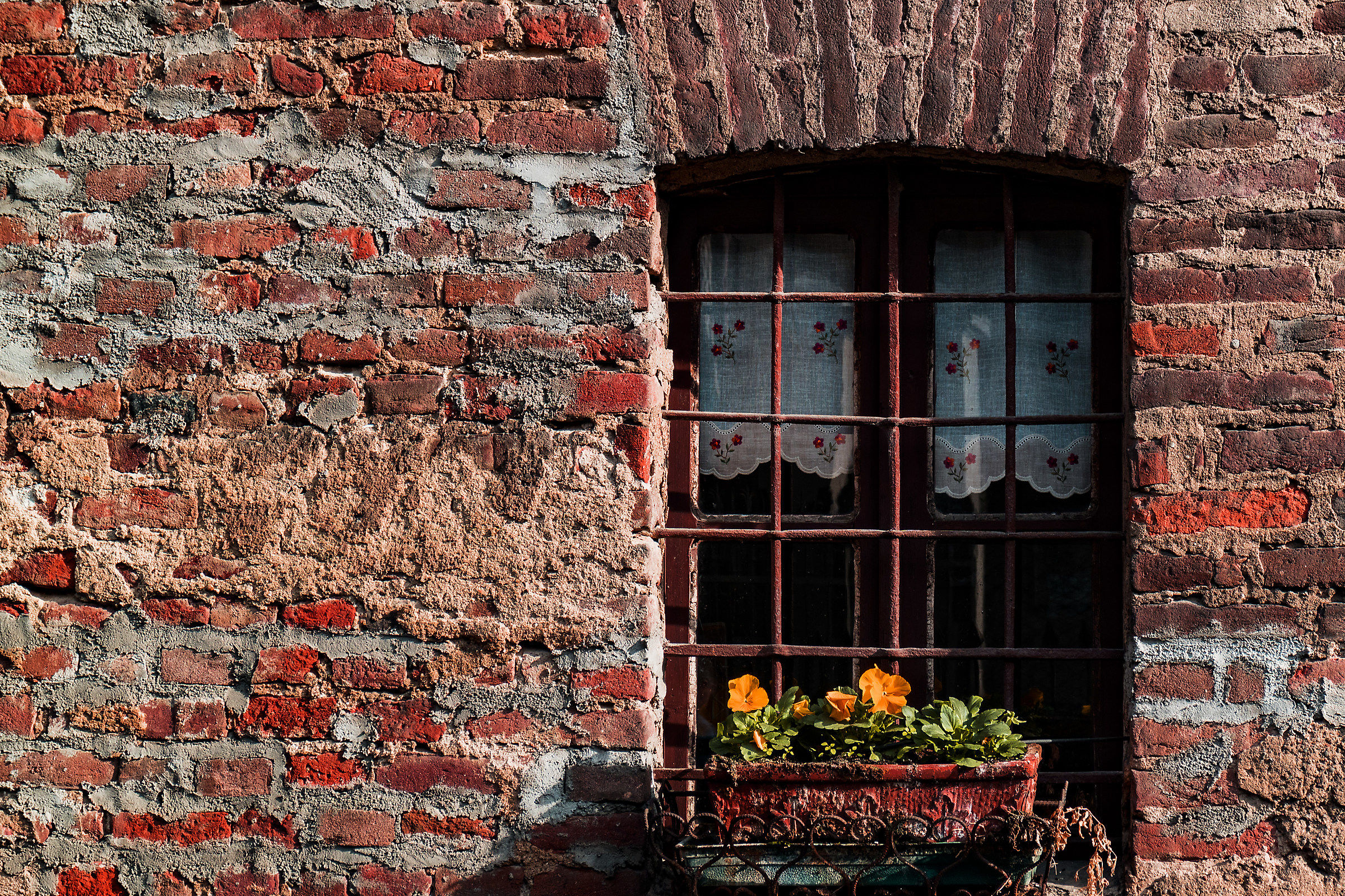 Mill Window...