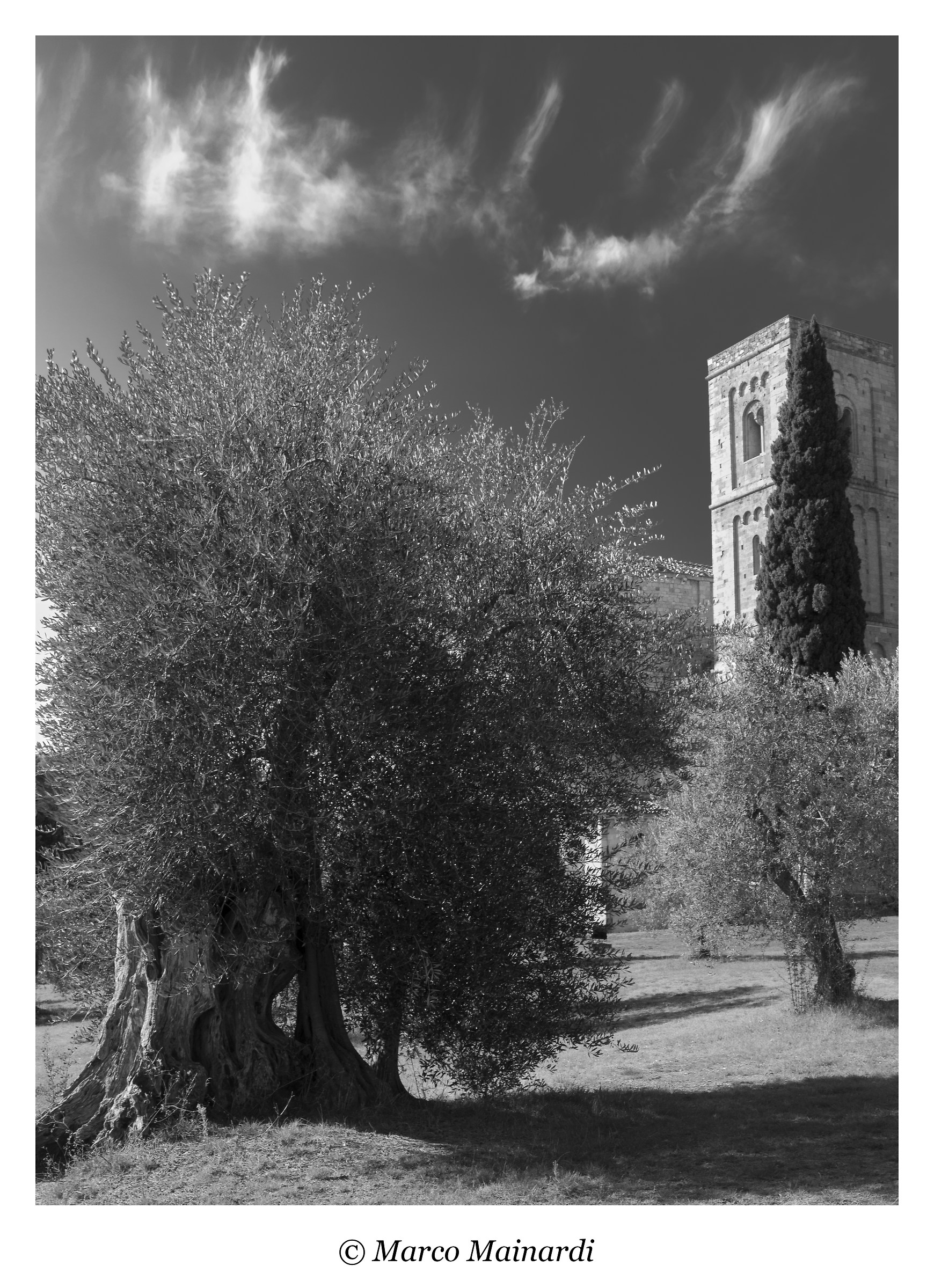 Monumenti a confronto (Abbazia di San Antimo-Siena)...