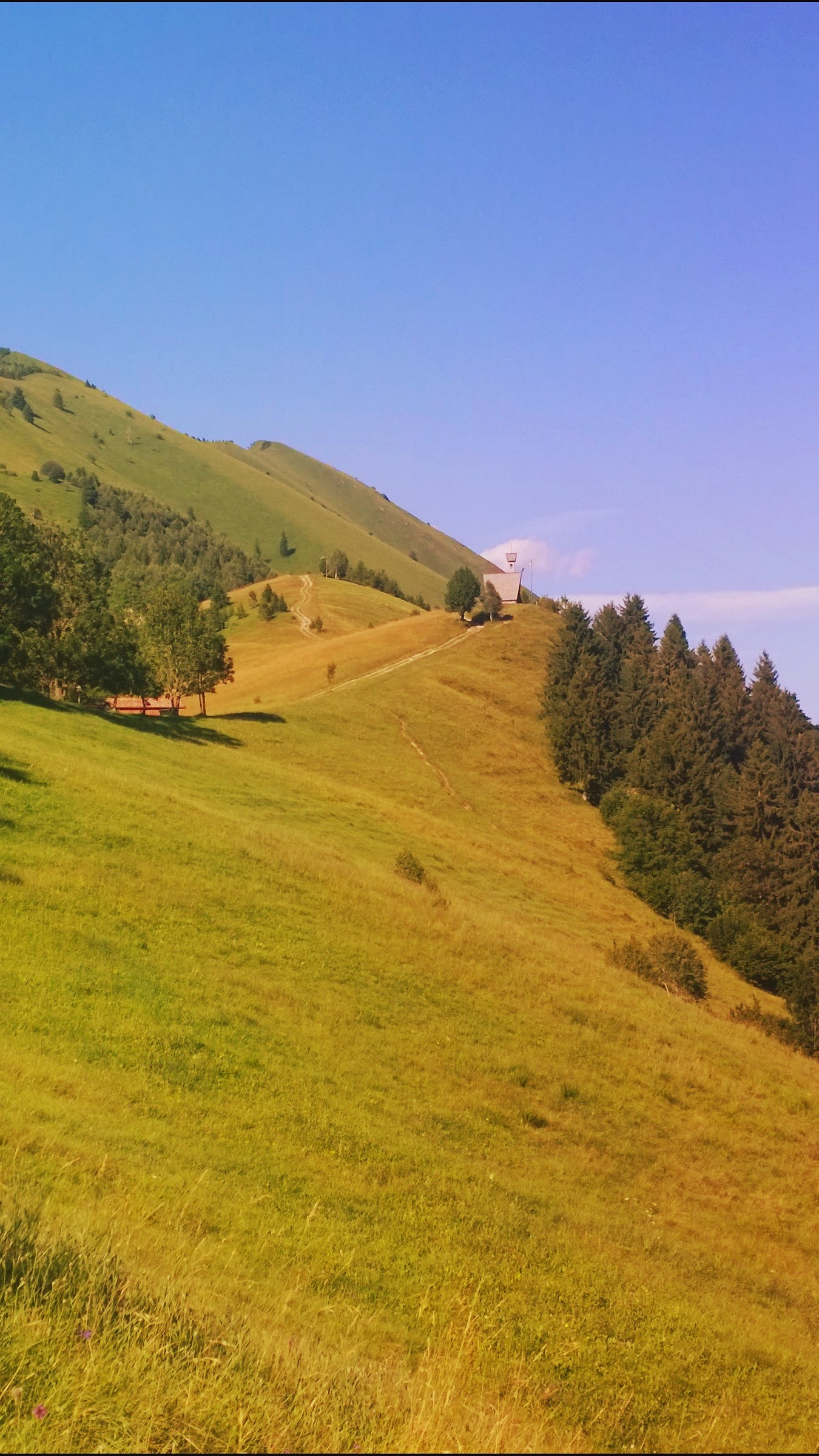 Appena sopra casa...