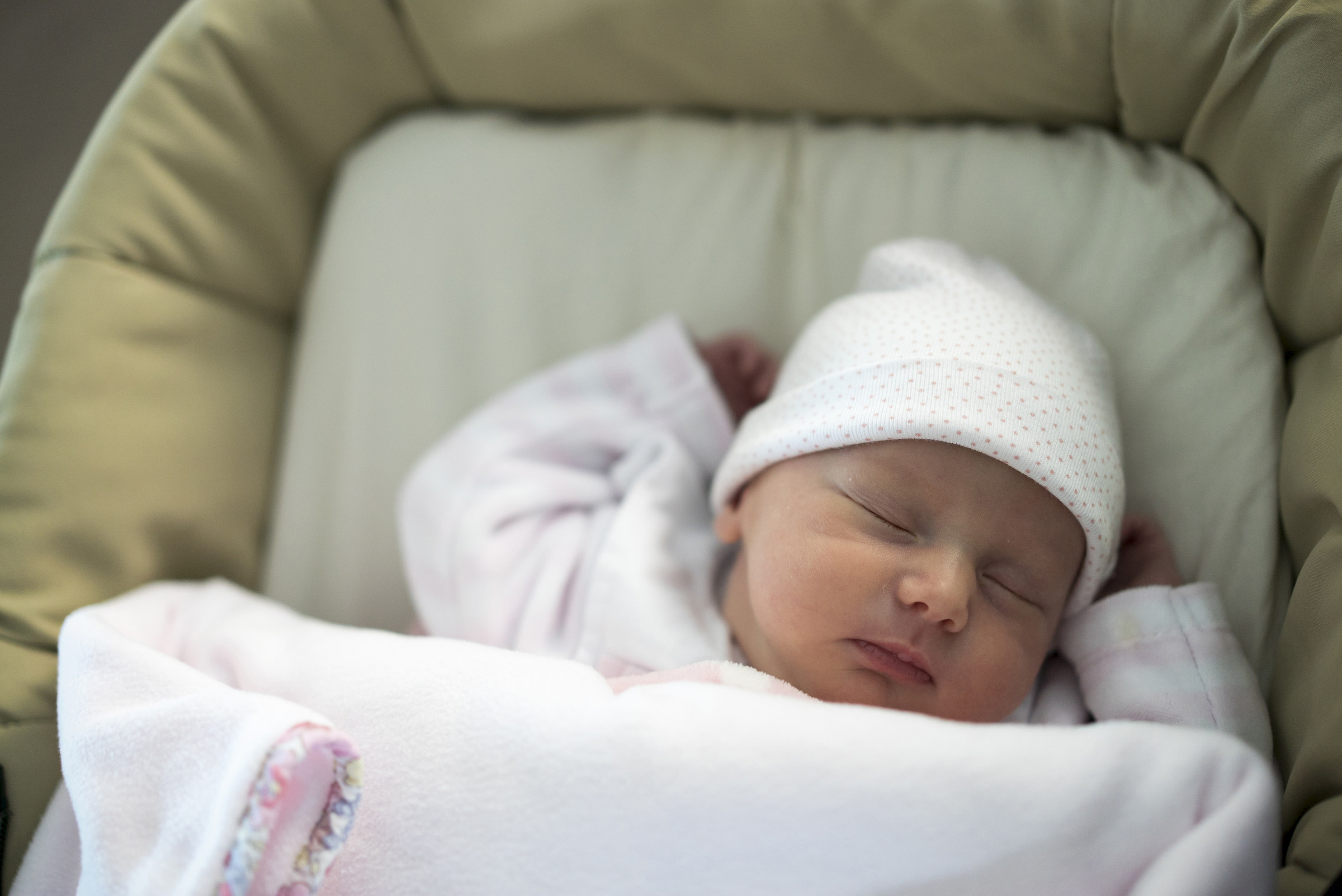 sony a7s2 55mm zeis 1.8...