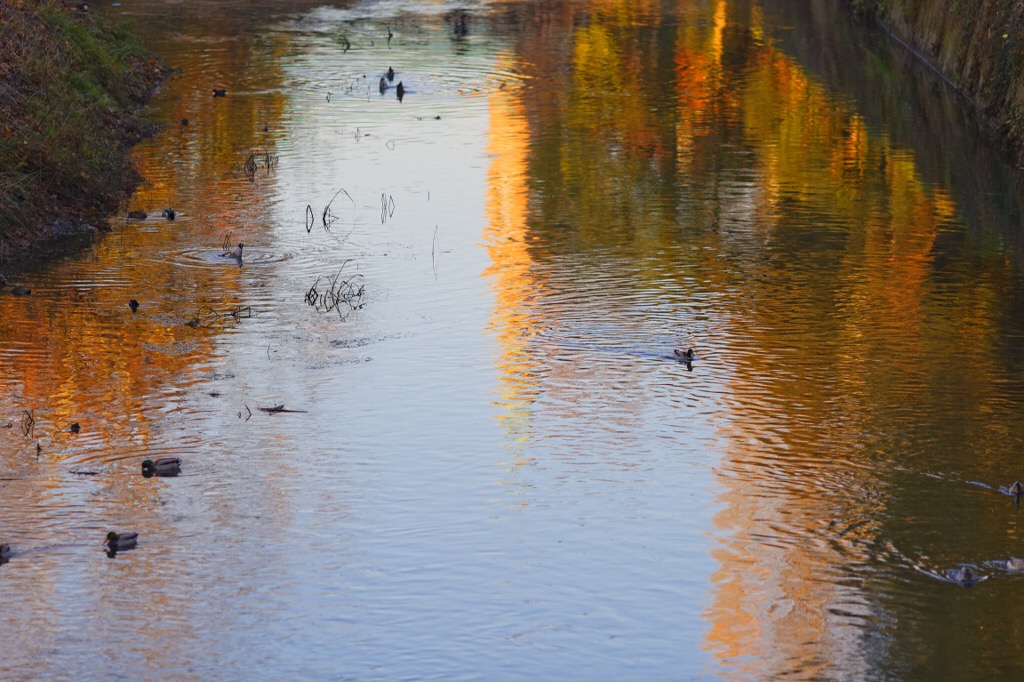 Sfumature e riflessi...