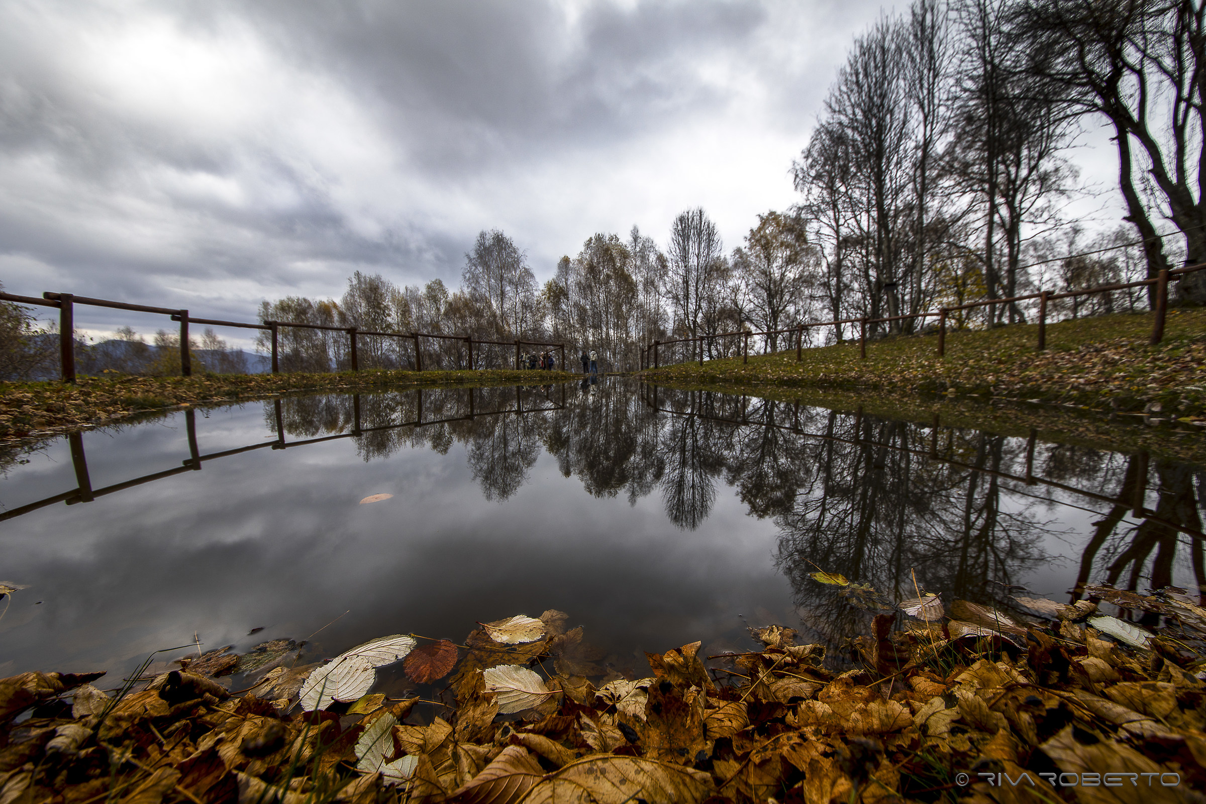 Reflexes...