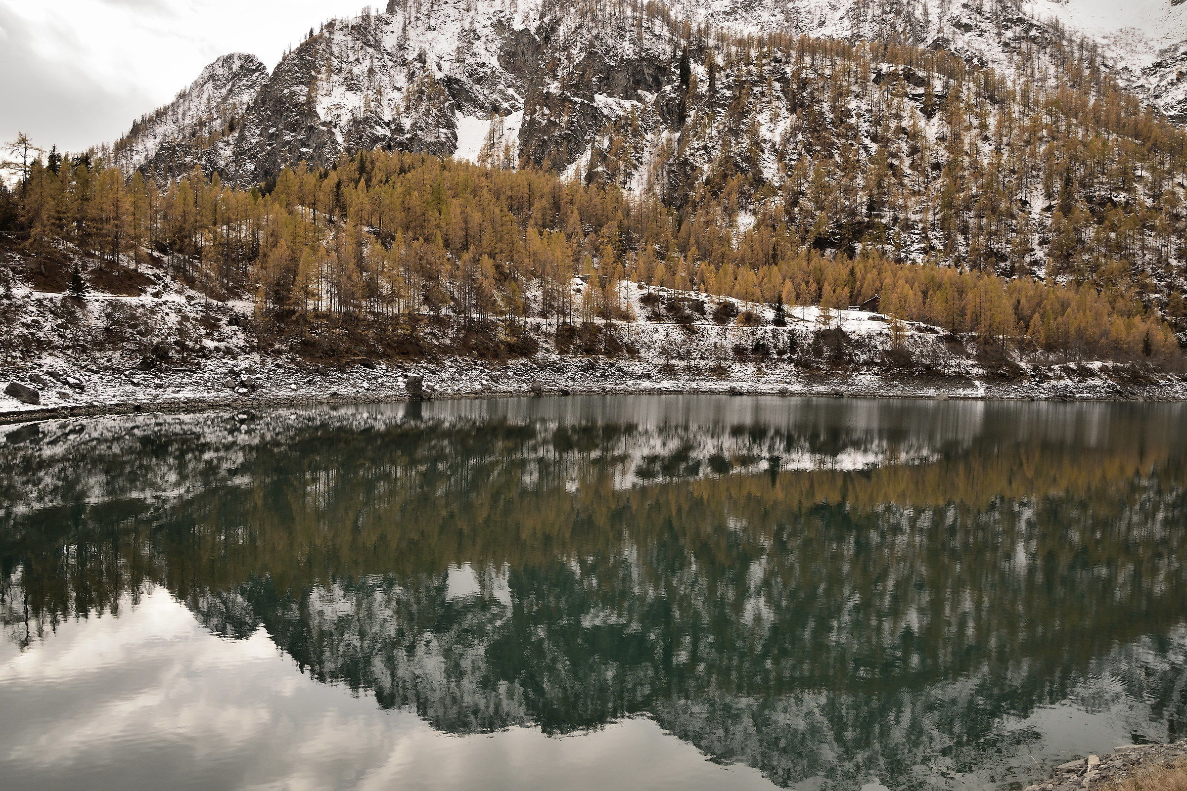 lago di Cheggio - riflessi...