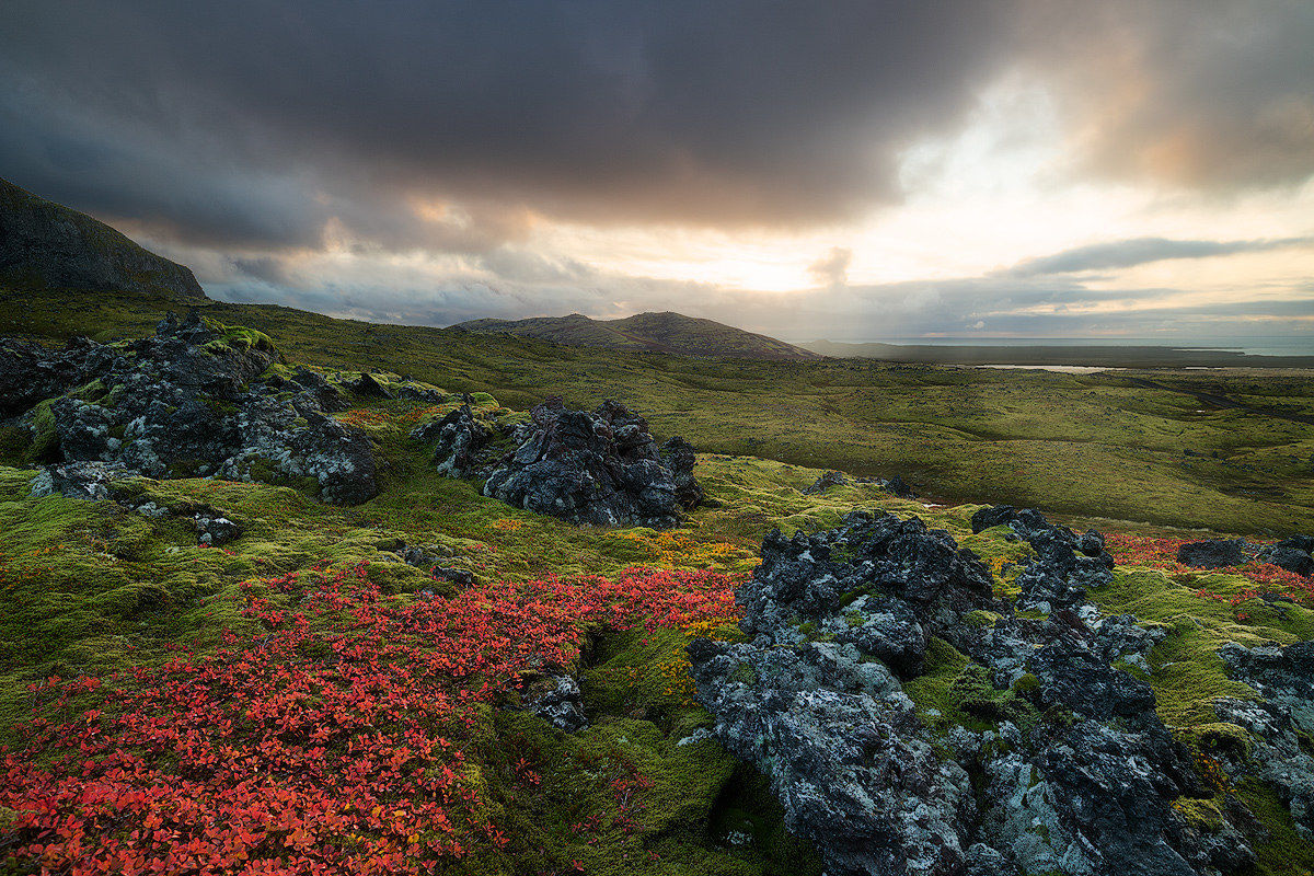 Volcanic landscape...