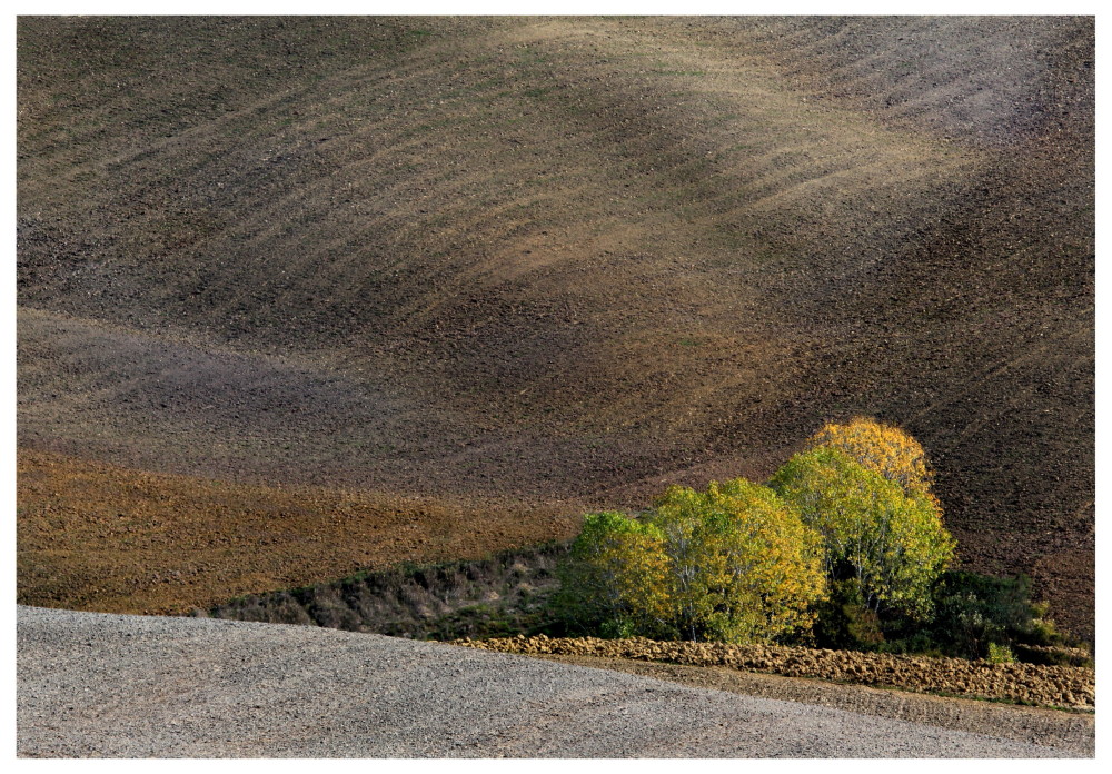 Autunno in Val d'Orcia_03...