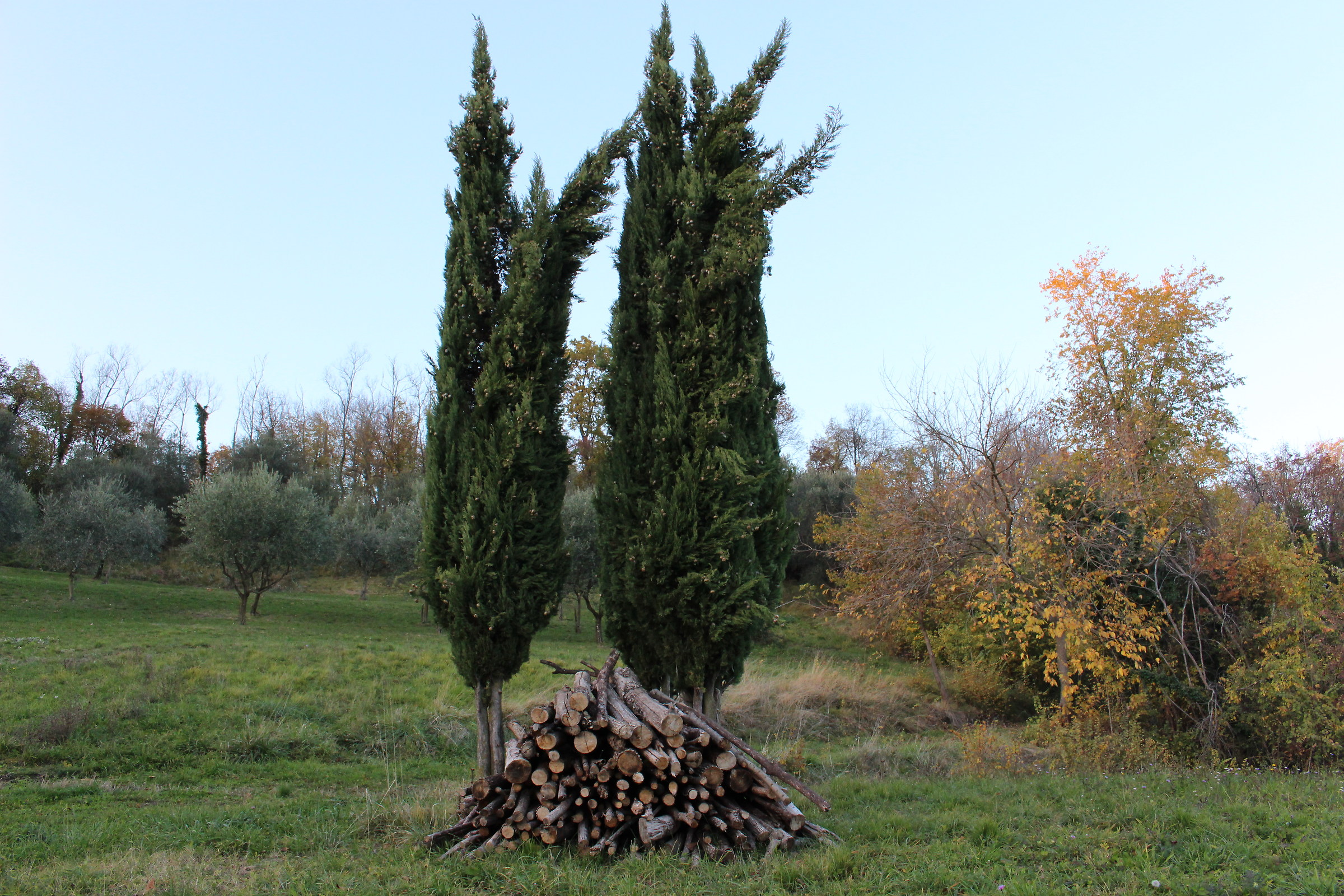 beauties in Valle san Floriano, VI...