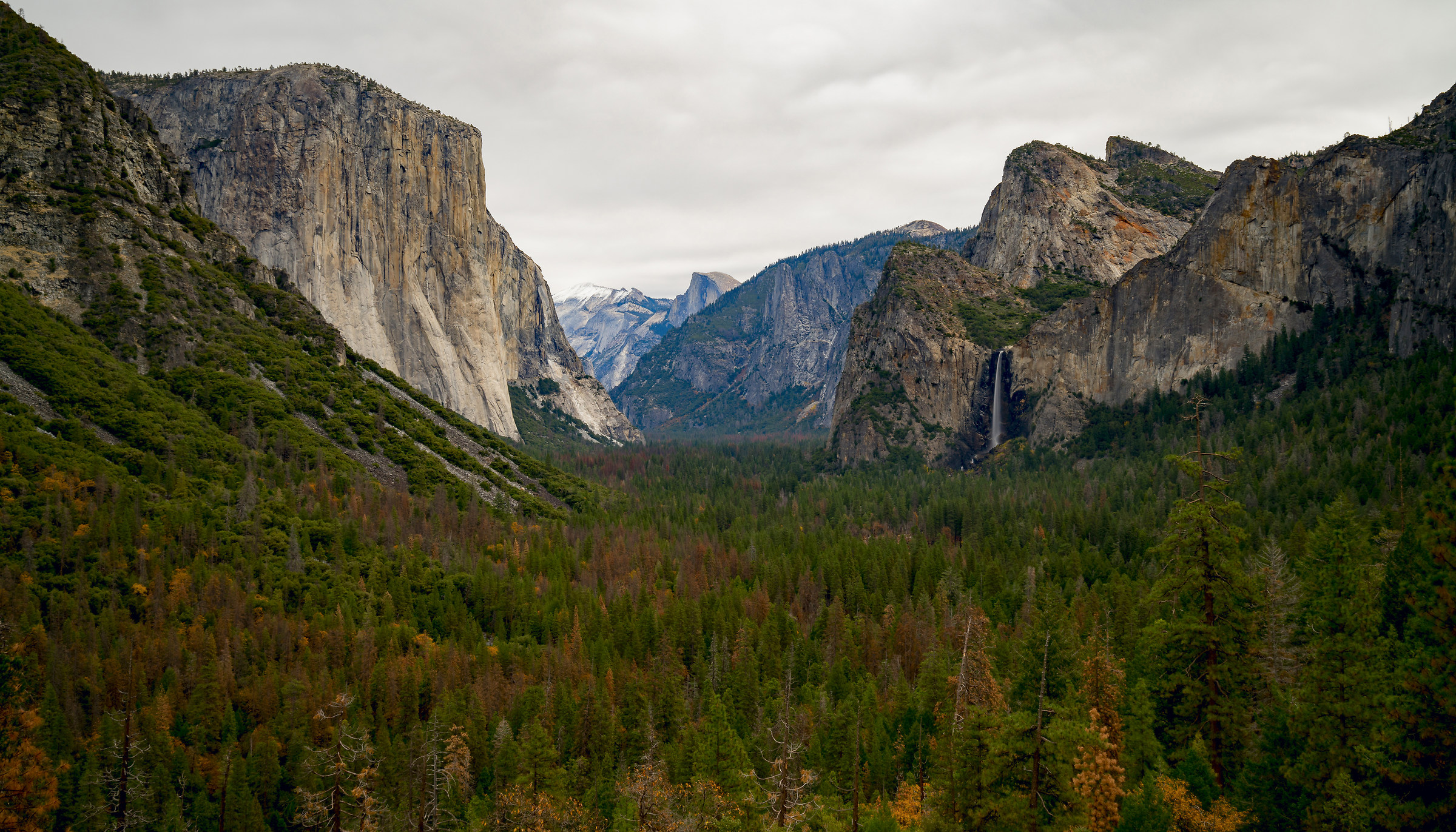 Tunnel View...