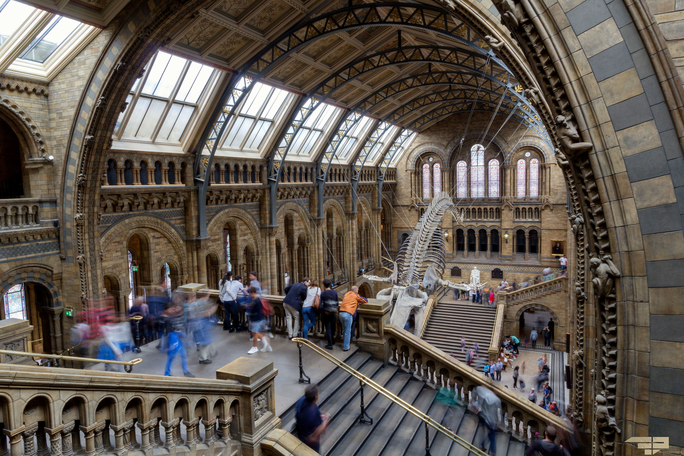 Inside the Natural History Museum...