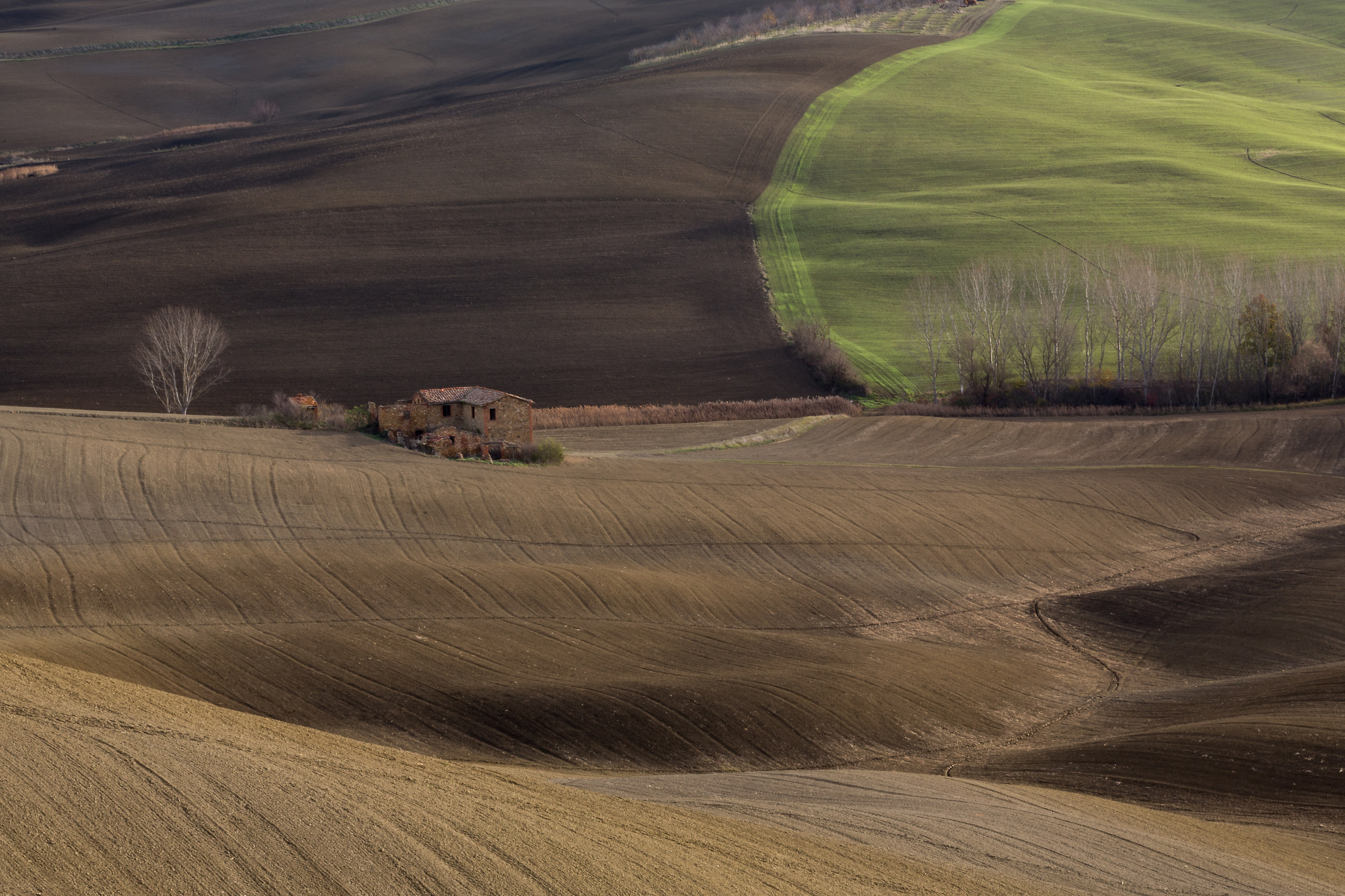 D'Orcia Valley...