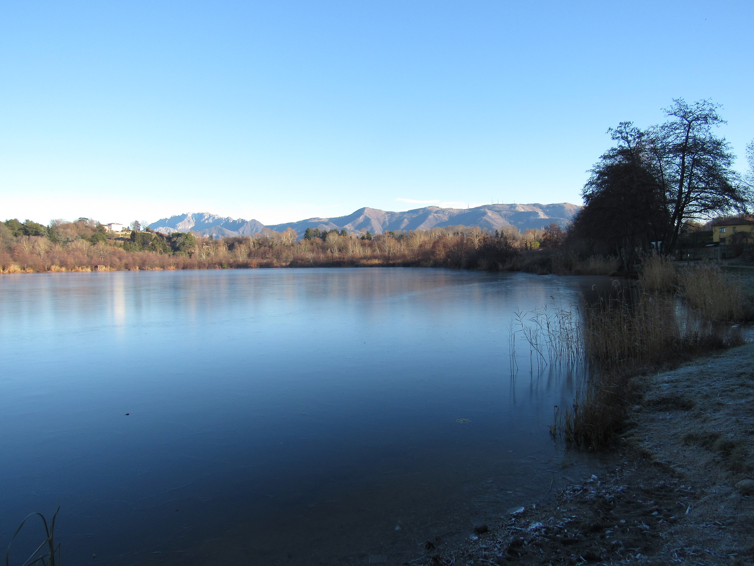Oasi naturale lago di Sartirana ( Lc )...
