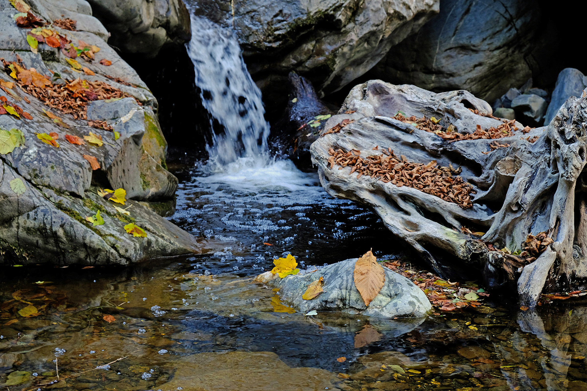 Autumn on the Arroscia torrent...