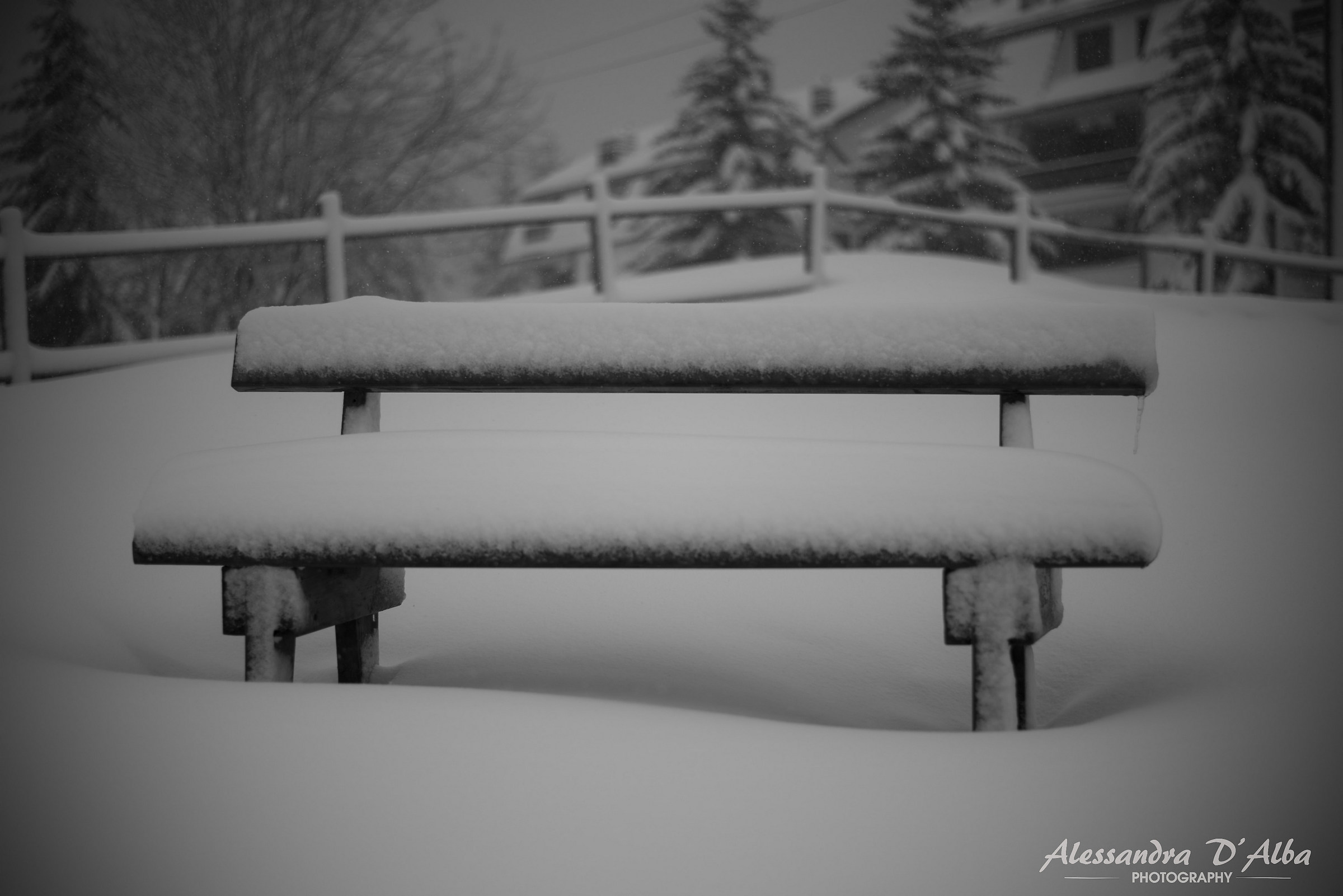 Snowy bench...