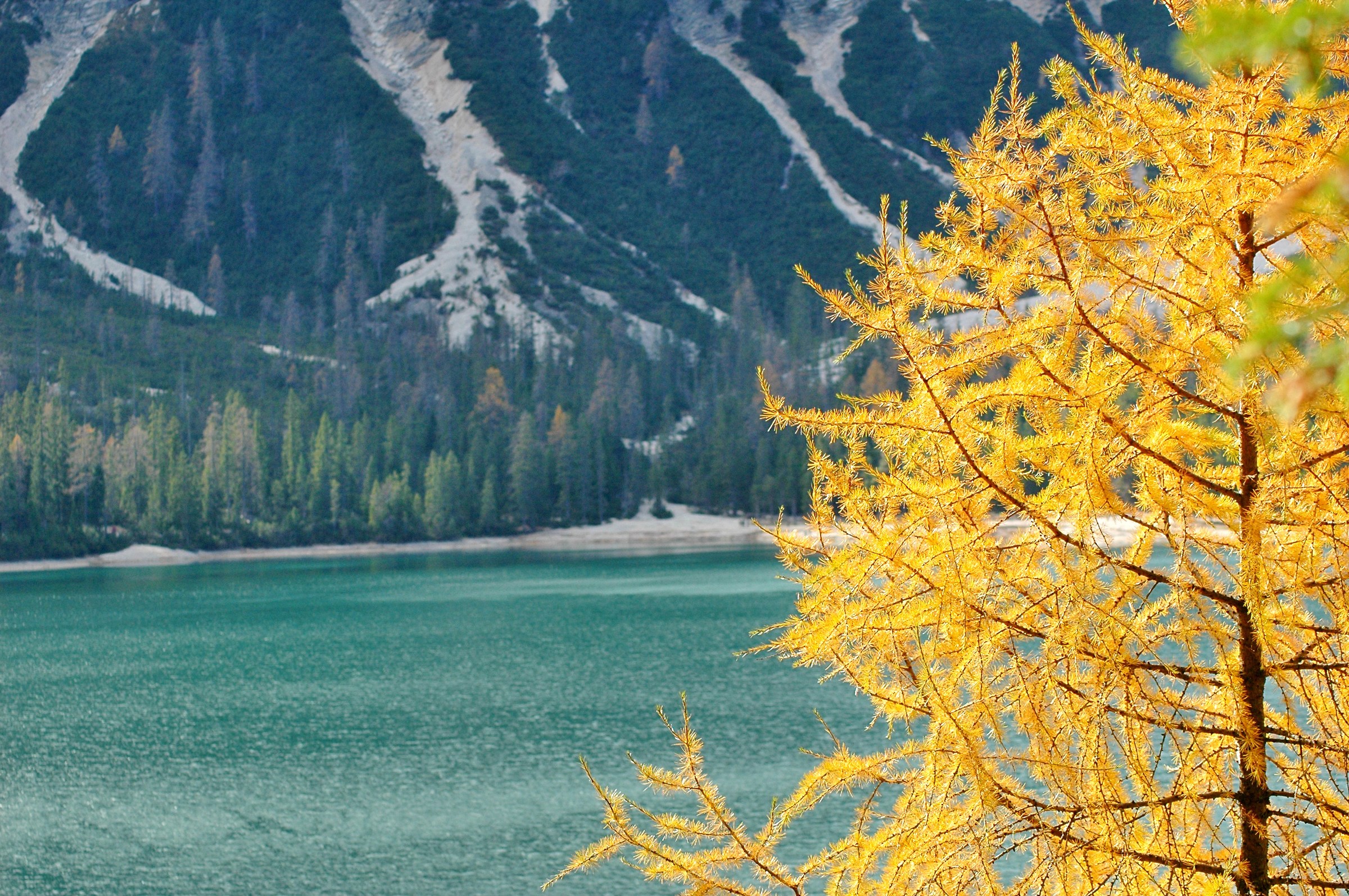 foliage sul lago di Braies...