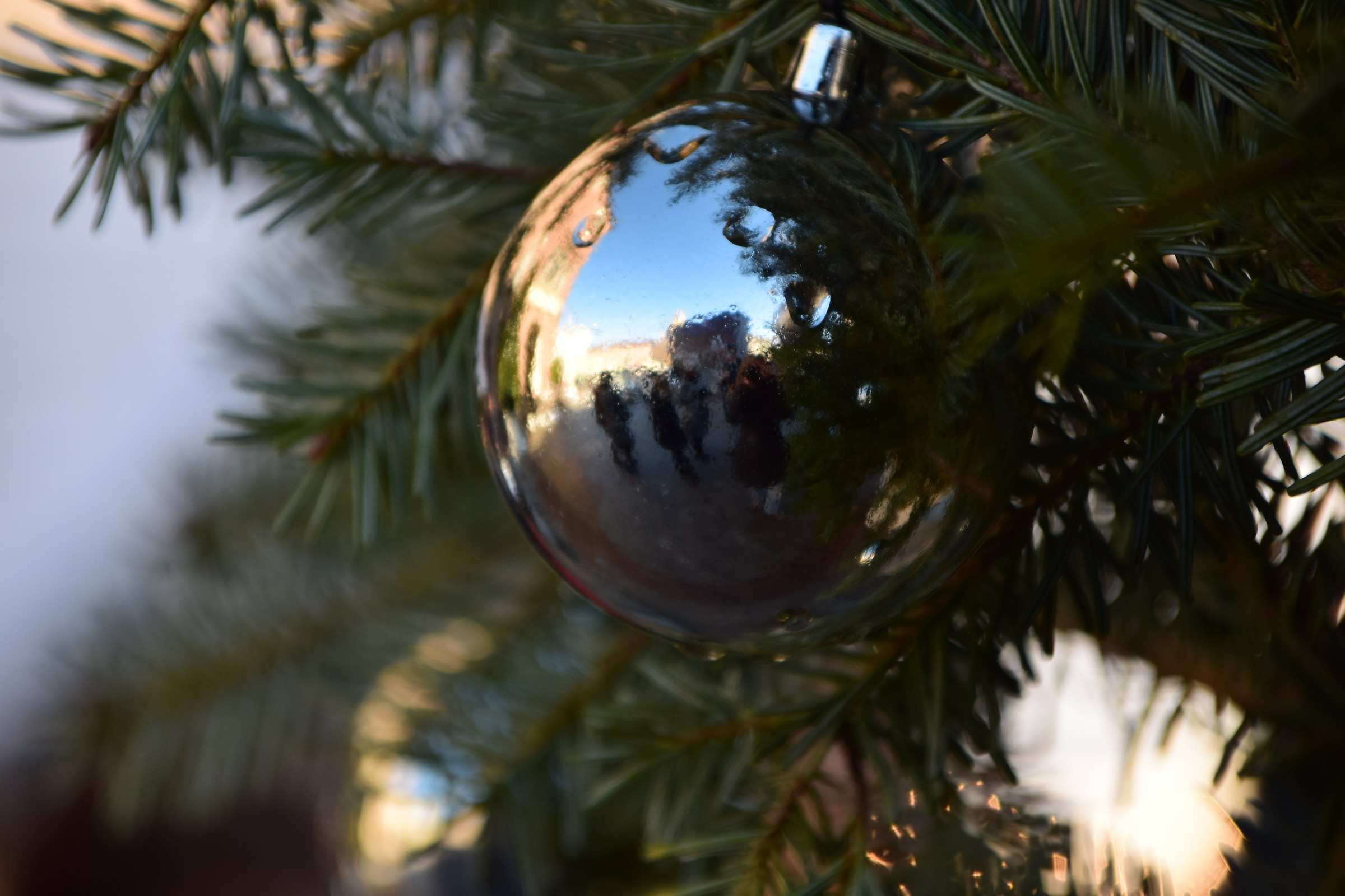 Christmas reflections...