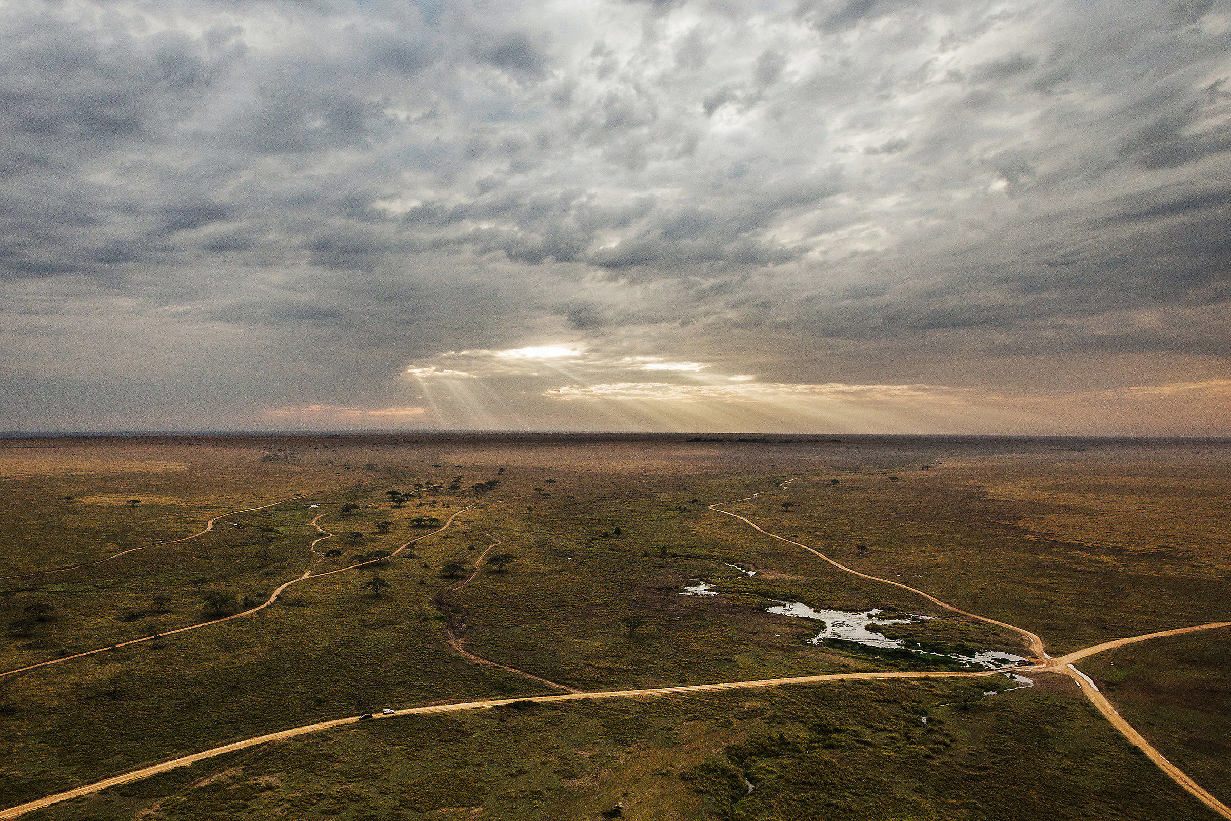 In volo sul Serengeti National Park...
