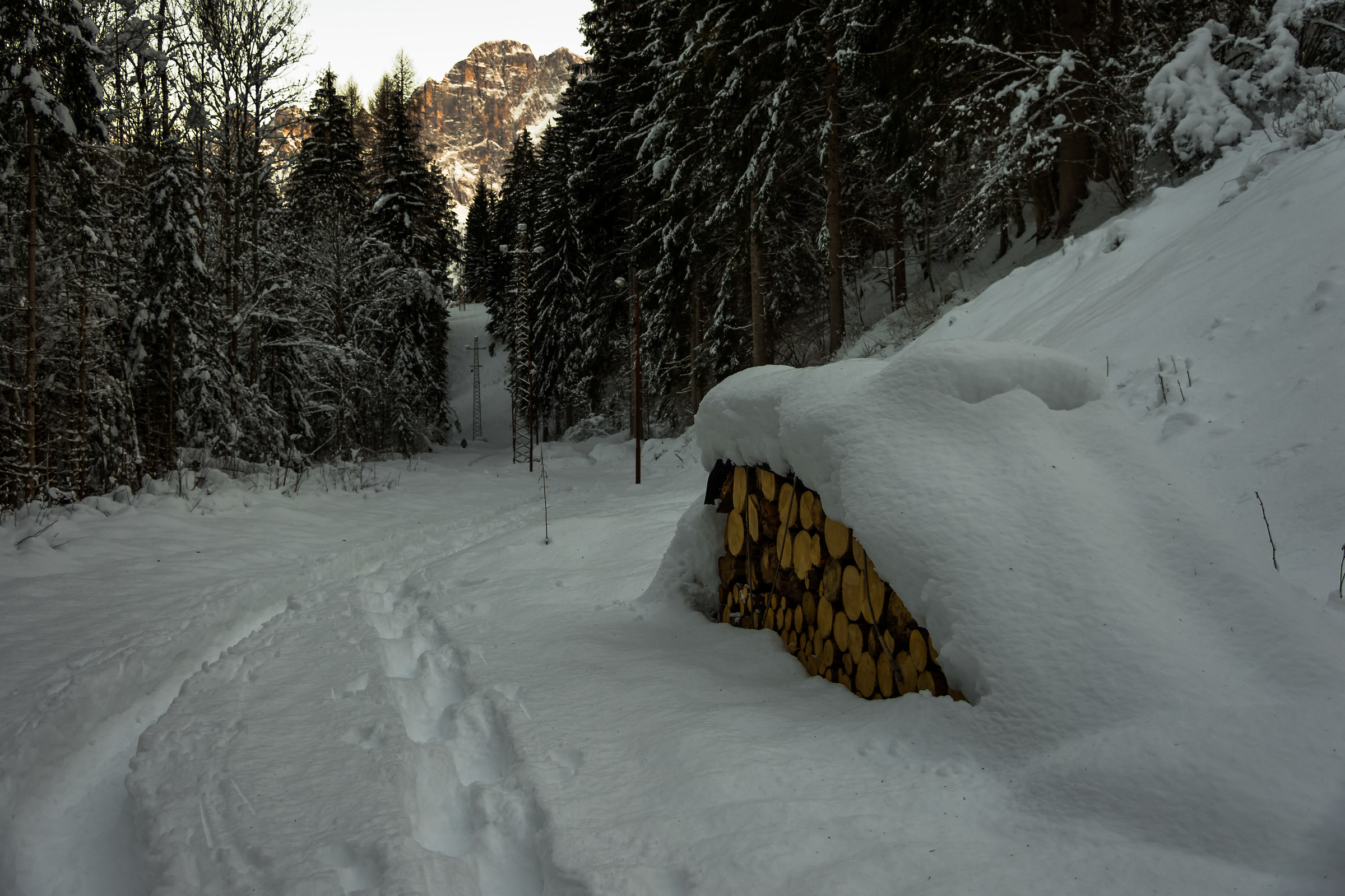 4 steps in the snow .......