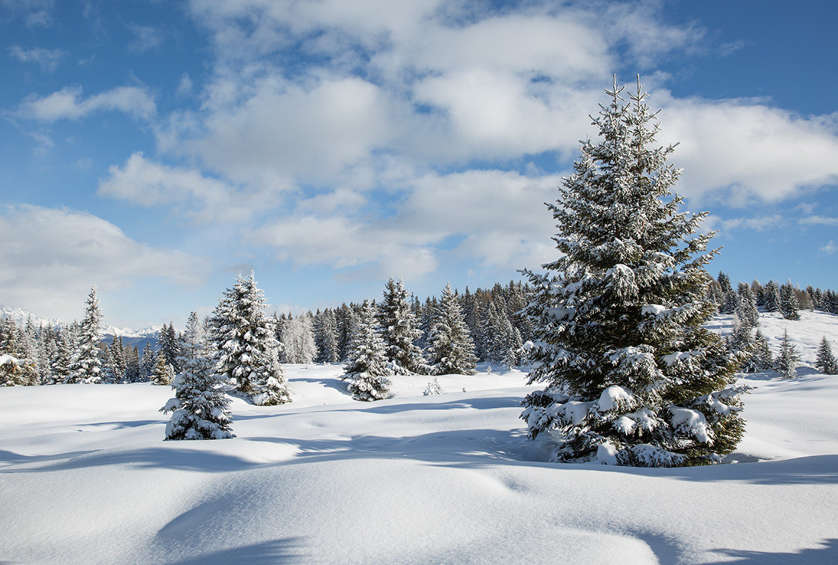 Alpe di Rodengo (Bz)...
