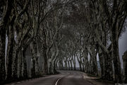 [Photo]